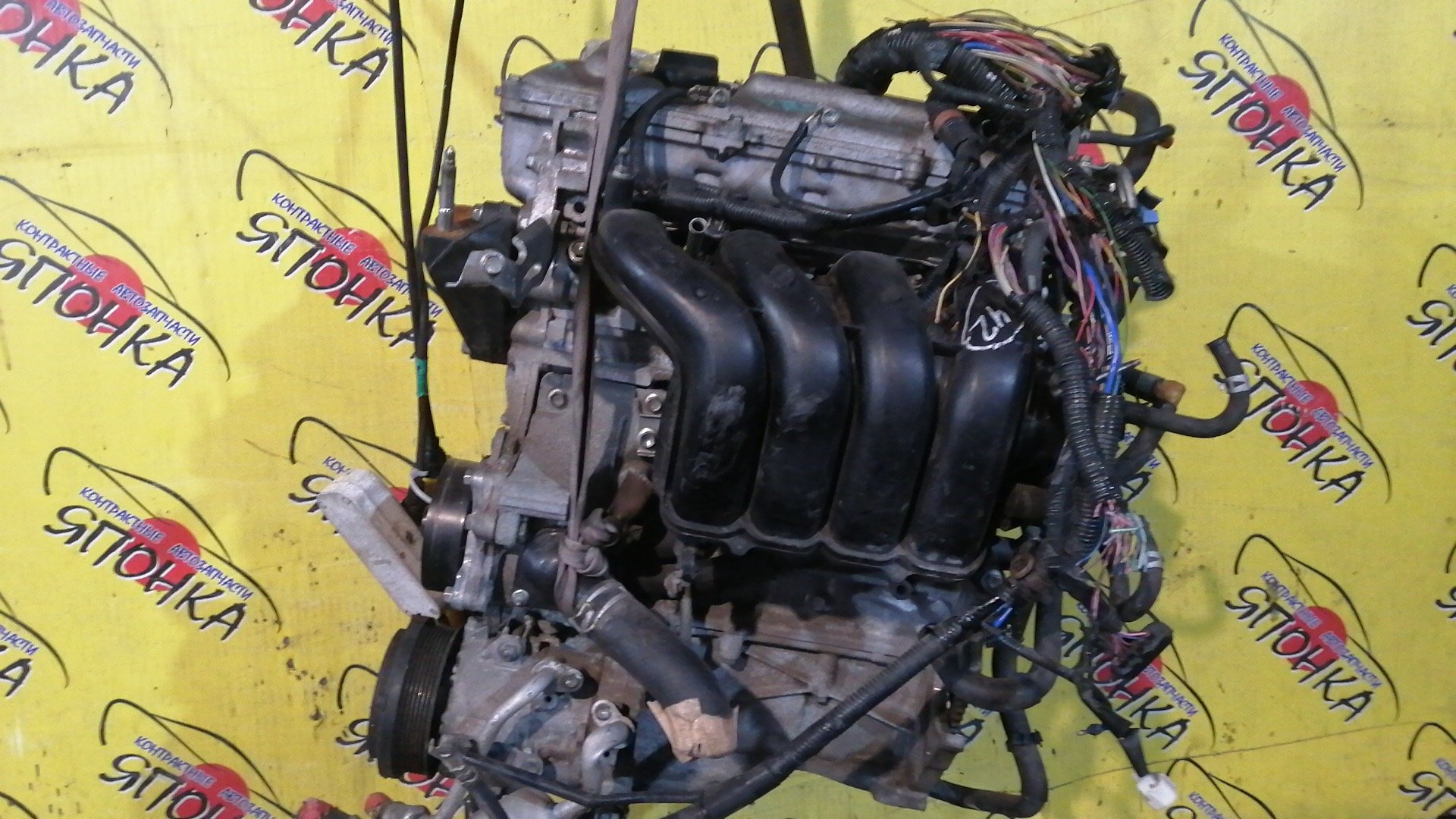 ДВС/TOY/3ZR-FE/ALLION/AVENSIS/ISIS/NOAH/PREMIO/RAV4/VOXY/WISH/ZGE21G/ZGE21R/ZGE22R/ZGE22W/ZGM11G/ZGM11W/ZRR70G/ZRR70W/ZRR75G/ZRR75W/ZRT261/ZRT272/ZRT272W/ZSA30/ZSA35/ZSA44/1900037290