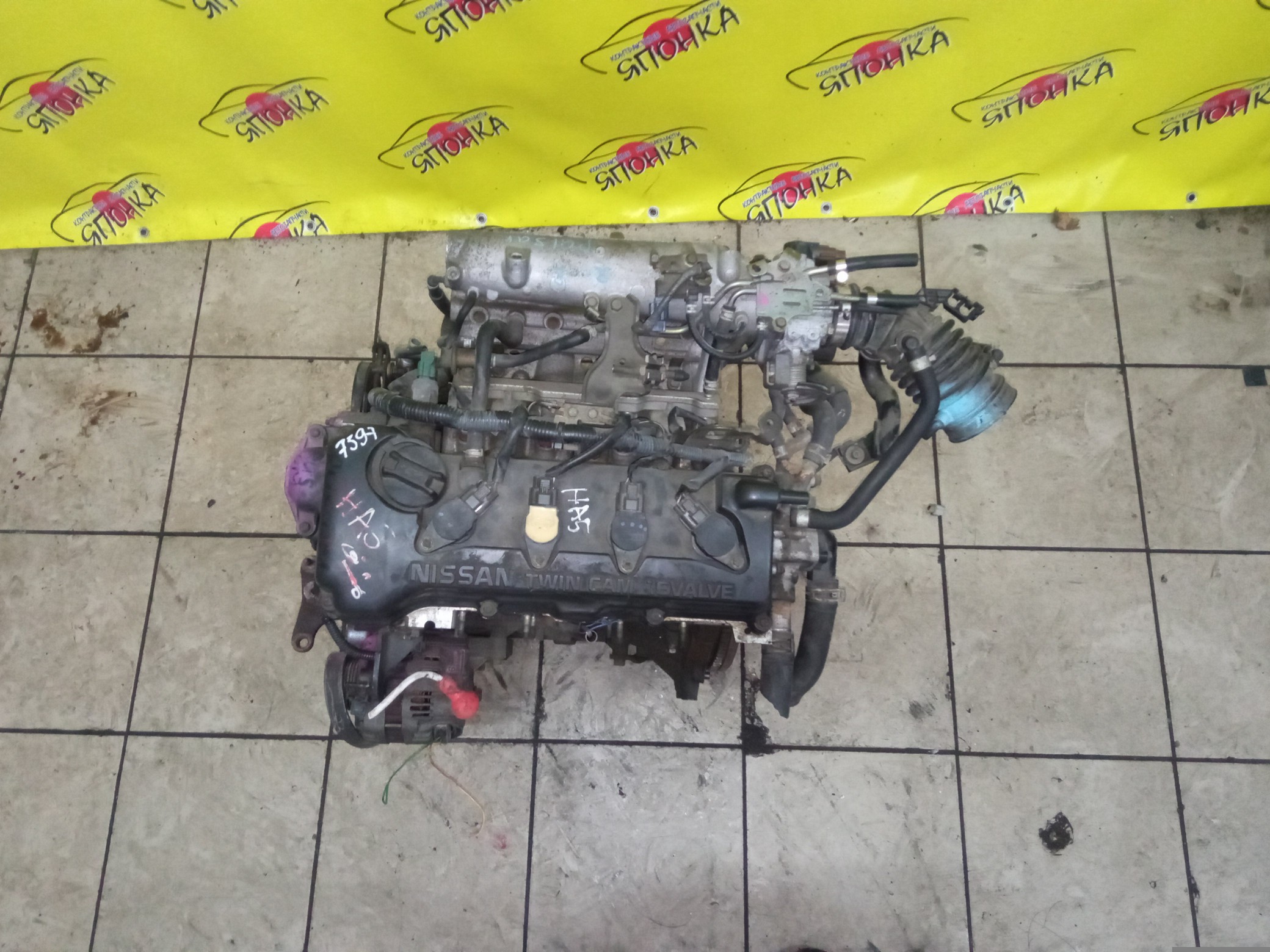 ДВС/NIS/QG16DE/AD/ALMERA/AVENIR/BLUEBIRD/BLUEBIRD SYLPHY/EXPERT/FAMILIA VAN/PRIMERA/PRIMERA CAMINO/TINO/WINGROAD/BVGY11/BVHNY11/N16/P12E/QG10/QNG10/QP12/V10/VGY11/VHNY11/VNW11/VW11/WFNY11/WHNY11/WHY11/BLACKHEAD/1010295F0B