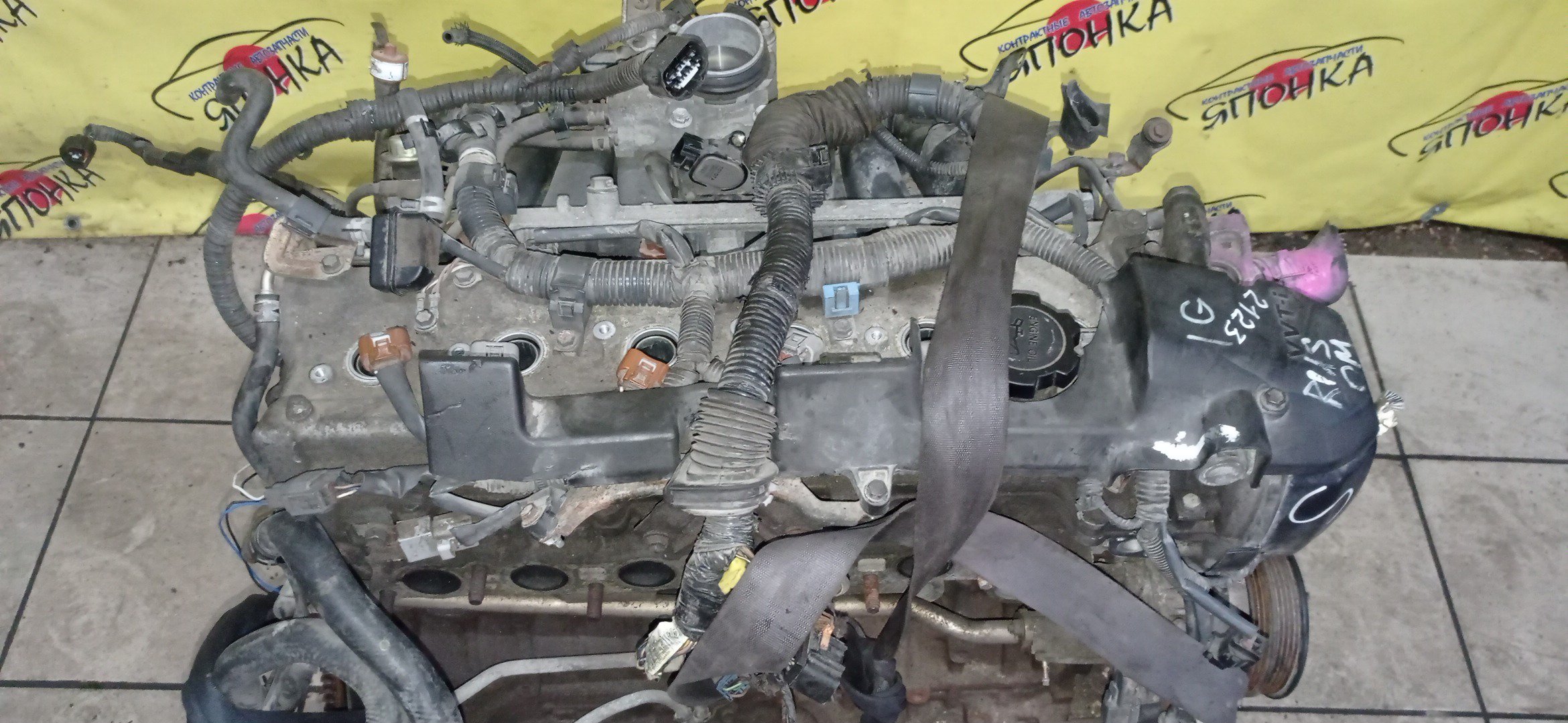 ДВС/TOY/1G-FE BEAMS/ALTEZZA/ALTEZZA GITA/CHASER/CRESTA/CROWN/IS200/LEXUS/MARK II/MARK II BLIT/VEROSSA/GX105/GX115/GX115W/GXE15W/4WD/1900070320