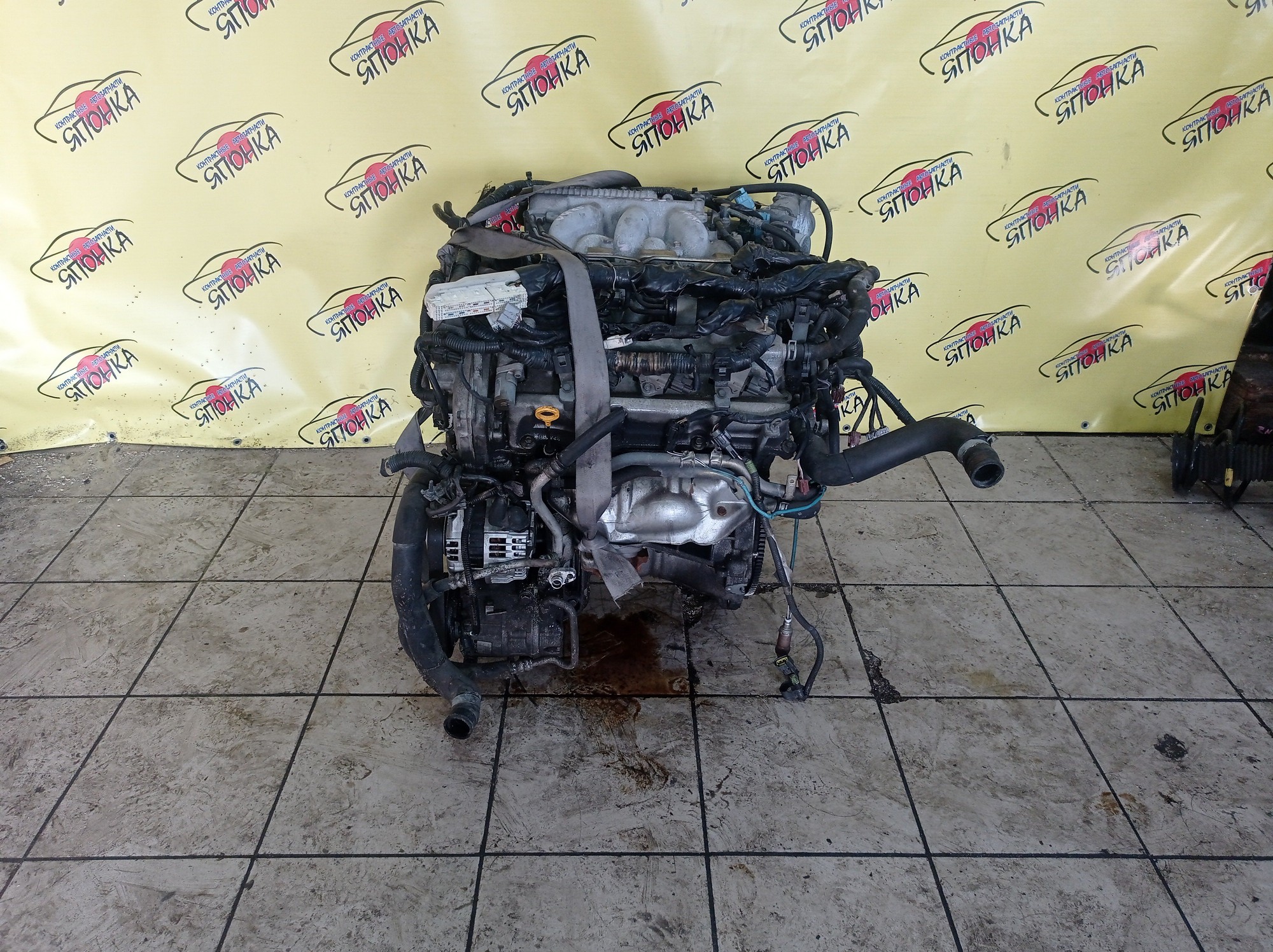 ДВС/NIS/VQ25-DD/CEFIRO/A33/ГОЛЫЙ/101022Y5A0