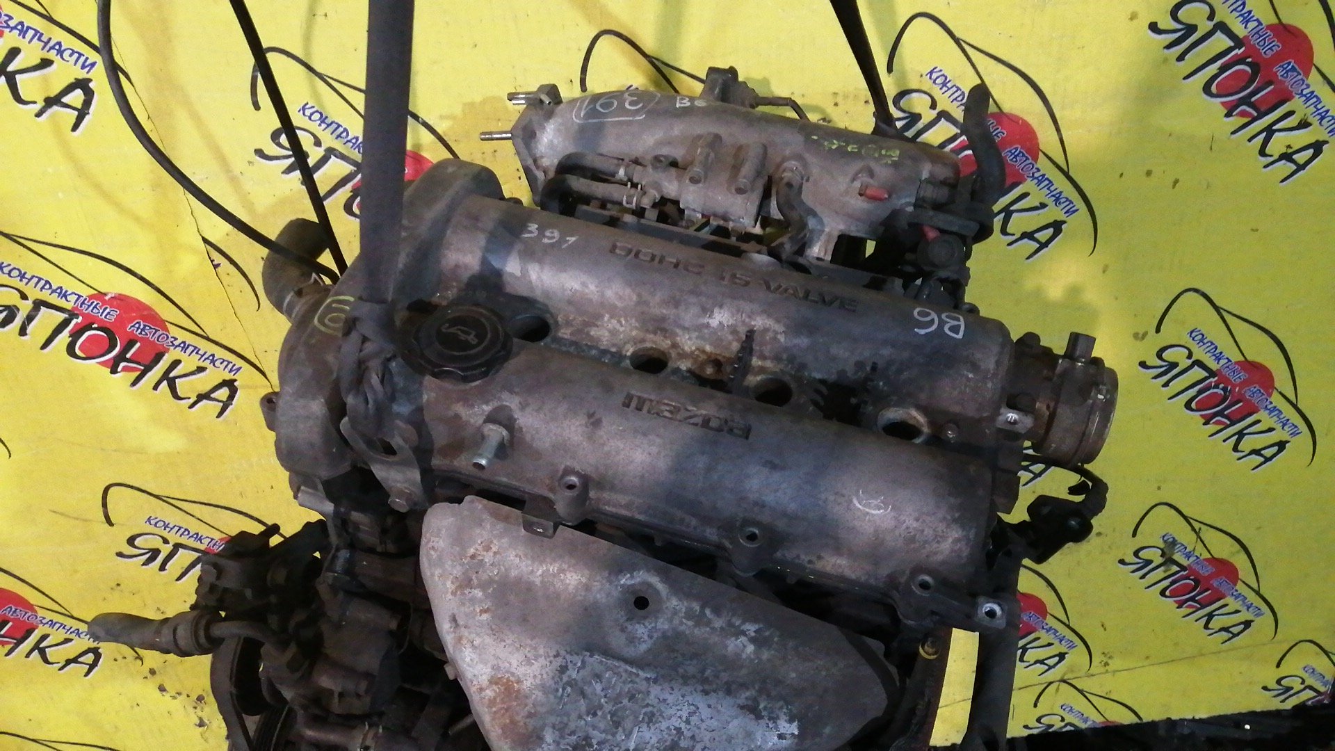 ДВС/MAZ/B6-ZE/ROADSTER/NA6CE/ПРОДОЛЬНЫЙ/КАТУШЕЧНЫЙ/B6MS02300