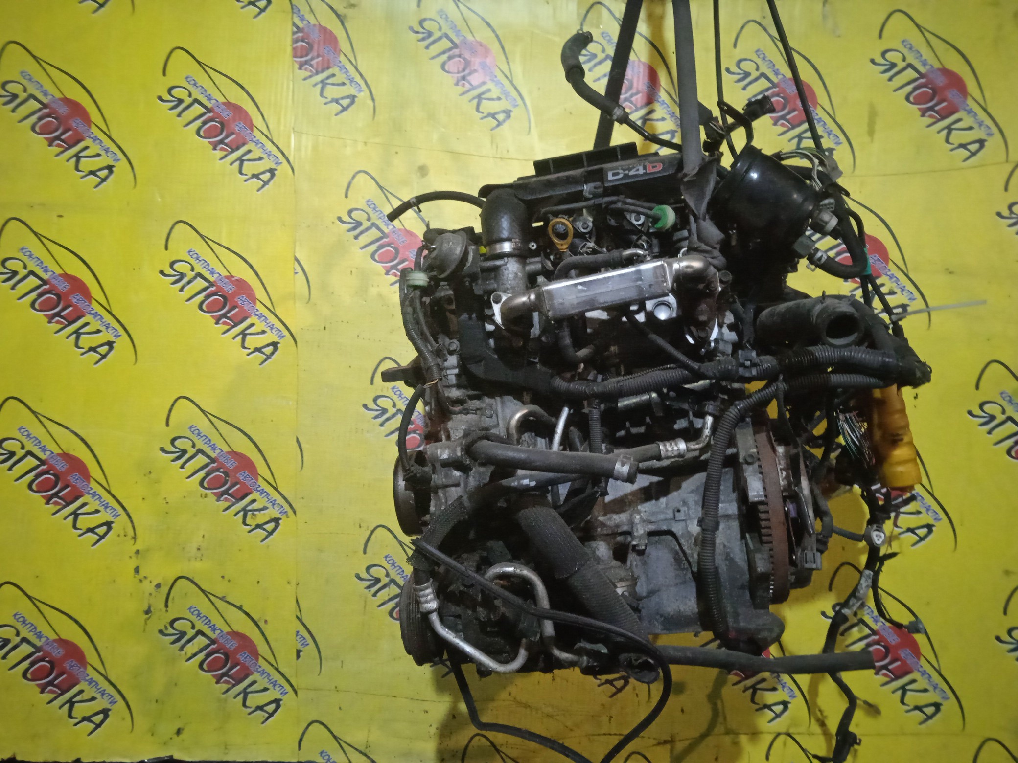 ДВС/TOY/1NDTV/SUCCEED/PROBOX/NLP51V/1900033050