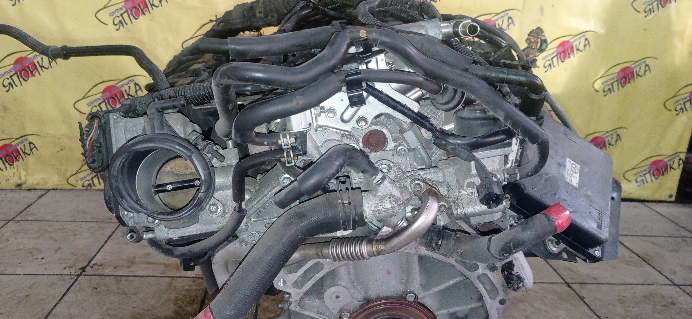 ДВС/MAZ/LF-VE/ATENZA/ATENZA WAGON/AXELA/MAZDA6/PREMACY/BKEP/BLEAP/BLEAW/CREW/GGEP/GHEFP/GHEFS/GHEFW/КАТУШКИ СВЕРХУ/ДАТЧИКА VVTI/ЩУП ЧЕРЕЗ ГОЛОВУ/КОМПРЕССОР НА ПОДДОНЕ