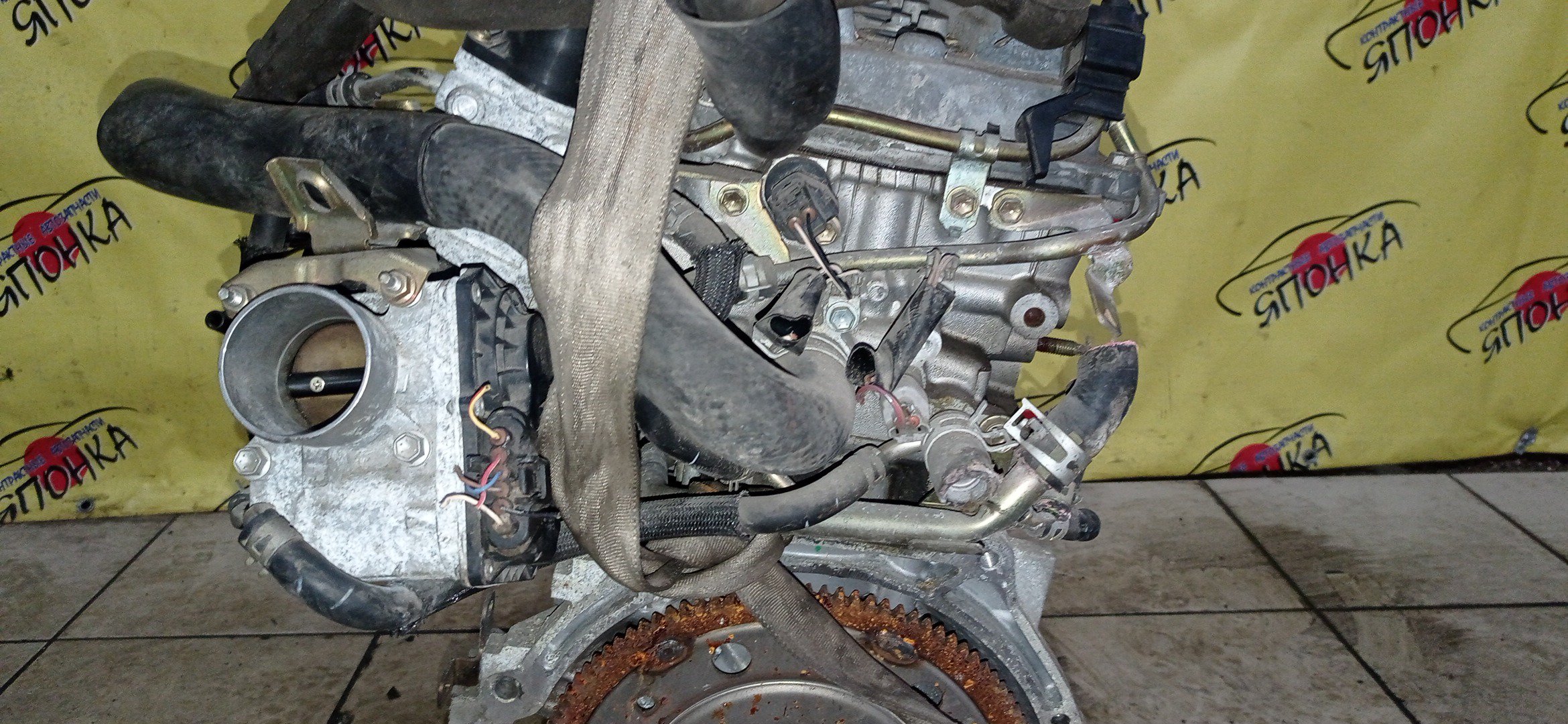 ДВС/TOY/1NZ-FE/COROLLA/VITZ/PREMIO/ALLION/IST/FIELDER/AXIO/PORTE/RACTIS/RUMION/NCP131/NCP100/NCP120/NCP105/NCP110/NCP115/NZE141G/NZE144/NZE144G/NZT260/NZE151N/NCP125/NZE141/NNP11/NNP15/NCP91/ЭЛЕКТРО ДРОСЕЛЬ/1 МОДЕЛЬ/1900021C41/1900021851