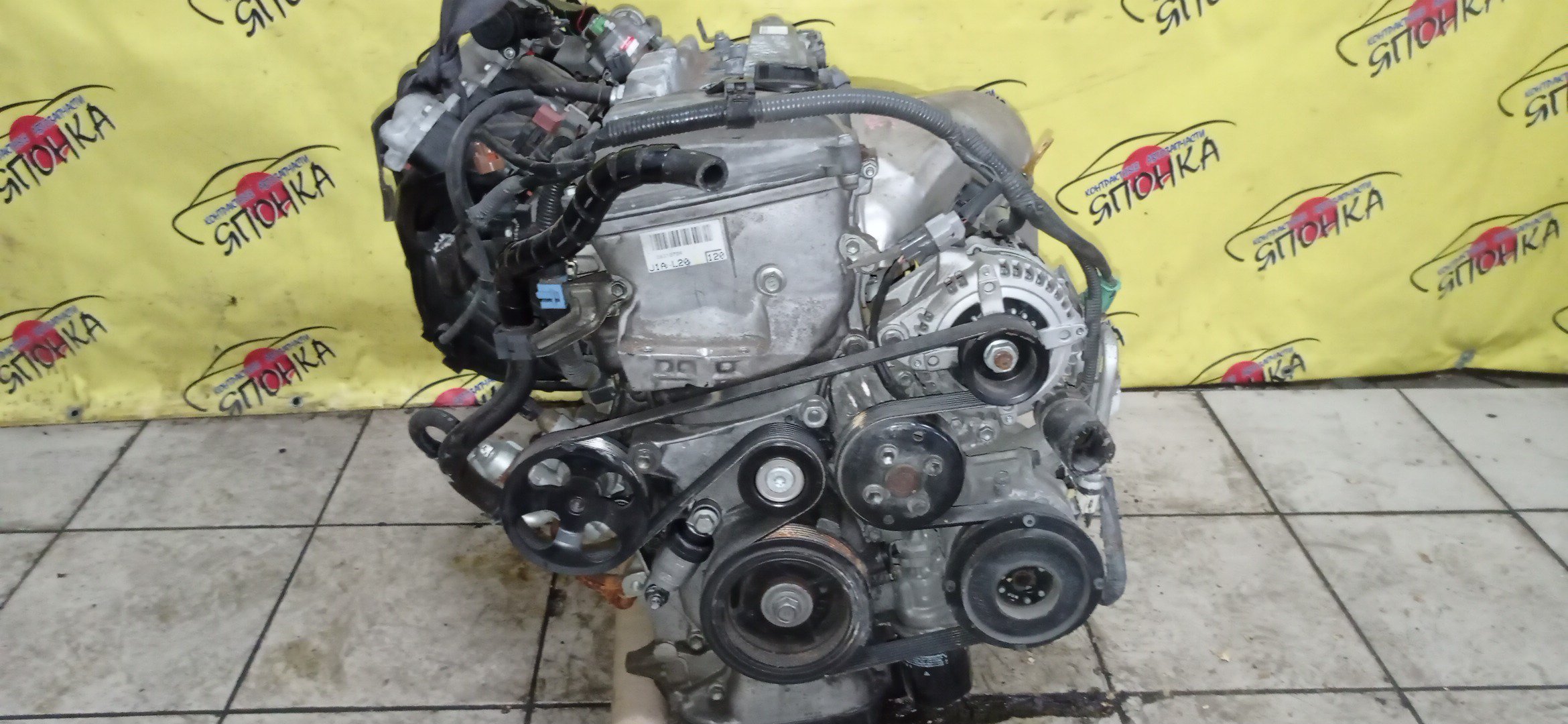 ДВС/TOY/1AZ-FSE(D4)/RAV4/ALLION/AVENSIS/AVENSIS WAGON/CALDINA/GAIA/ISIS/NADIA/NOAH/OPA/PREMIO/VISTA/VISTA ARDEO/VOXY/WISH/ACA20W/ACA21W/ZCA25W/ZCA26W/ACM10G/ACM15G/ACN10/ACN10H/ACN15/ACN15H/ACT10/ANE10G/ANE11/ANM10G/ANM10W/ANM15G/ANM15W/AZR60G/AZR65G/AZT240/AZT241W/AZT246W/AZT250/AZT250W/AZV50/AZV50G/AZV55/AZV55G/ЭЛЕКТРО ДРОСЕЛЬ/1900028330