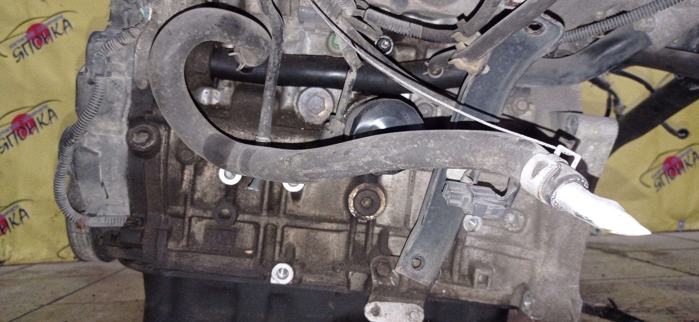 ДВС/HON/F20B/ACCORD/TORNEO/CF3/CF4/VTEC/НЕ SIR/11000PCA803