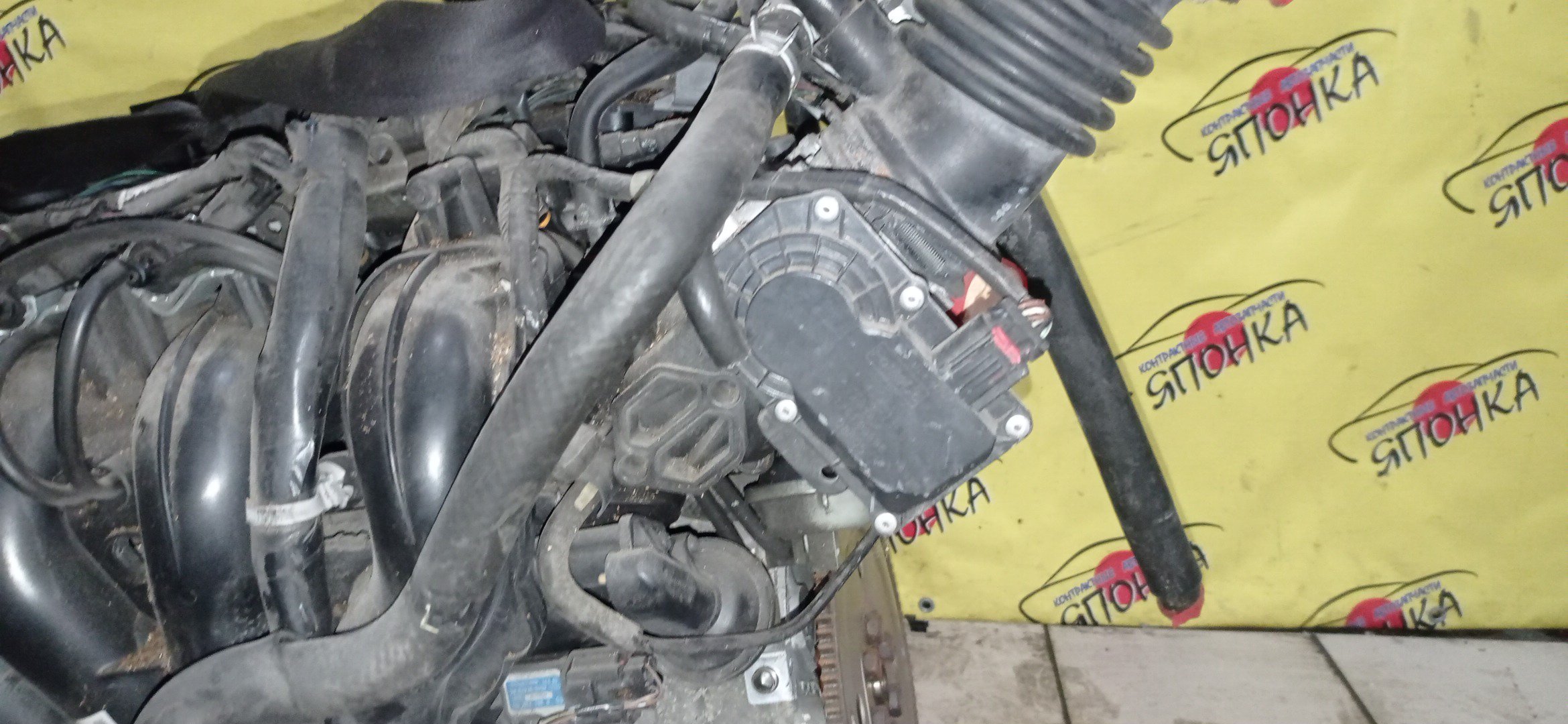 ДВС/MAZ/L3-VE/ATENZA/ATENZA WAGON/AXELA/MAZDA6/PREMACY/BK3P/CR3W/GG3P/GG3S/GY3W/LY3P/КАТУШКИ СВЕРХУ/ДАТЧИК VVTI/ЩУП ЧЕРЕЗ ГОЛОВУ/КОМПРЕССОР СБОКУ