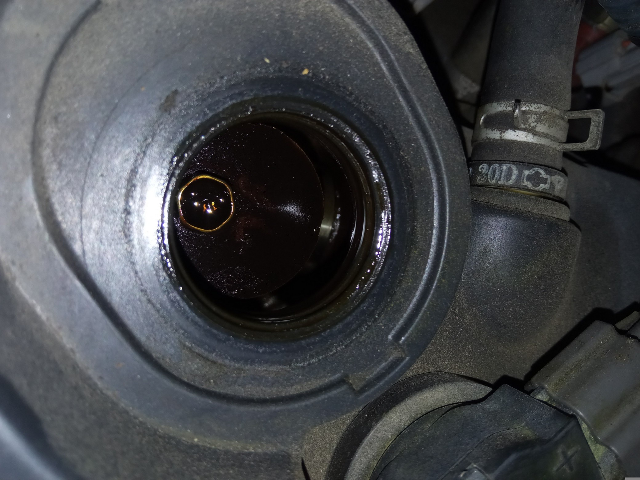 ДВС/NIS/QG16DE/AD/ALMERA/AVENIR/BLUEBIRD/BLUEBIRD SYLPHY/EXPERT/FAMILIA VAN/PRIMERA/PRIMERA CAMINO/TINO/WINGROAD/BVGY11/BVHNY11/N16/P12E/QG10/QNG10/QP12/V10/VGY11/VHNY11/VNW11/VW11/WFNY11/WHNY11/WHY11/BLACKHEAD/1010295F0B