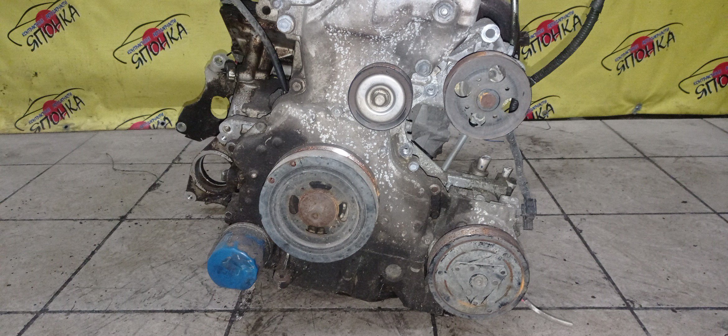 ДВС/NIS/QR25DE/ELGRAND/MURANO/TEANA/X-TRAIL/TE52/TNE52/TNJ32/TNT31/TNZ51/TZ51/2WD/4WD/10102JC20B/10102JC2RB/101021JB0D/10102JG3AC