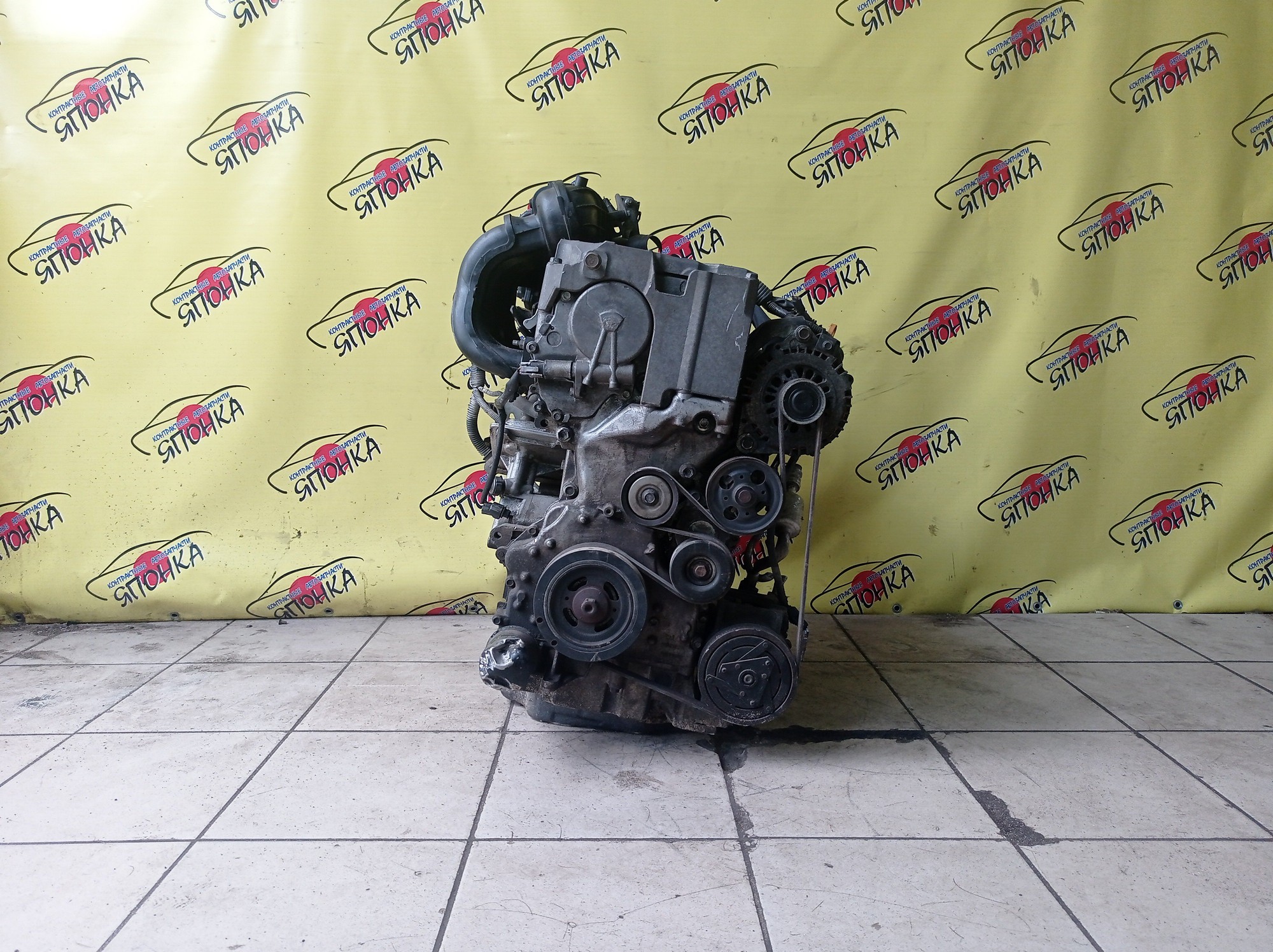 ДВС/NIS/QR25DE/ELGRAND/MURANO/TEANA/X-TRAIL/TE52/TNE52/TNJ32/TNT31/TNZ51/TZ51/2WD/4WD/10102JC20B/10102JC2RB/101021JB0D/10102JG3AC