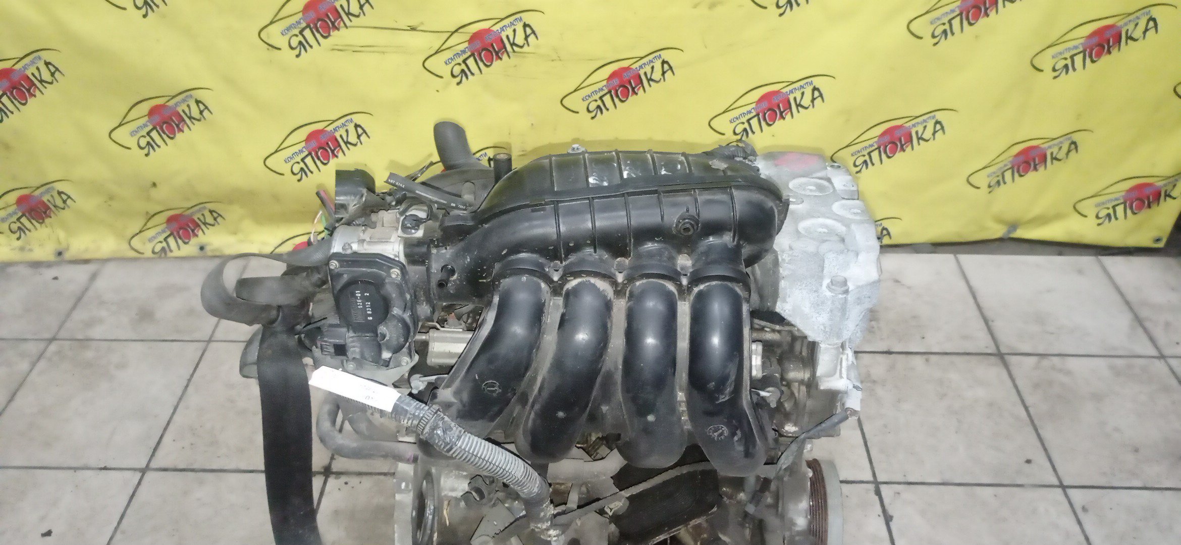 ДВС/NIS/QR25DE/ELGRAND/MURANO/TEANA/X-TRAIL/TE52/TNE52/TNJ32/TNT31/TNZ51/TZ51/2WD/4WD/10102JC20B/10102JC2RB/101021JB0D/10102JG3AC