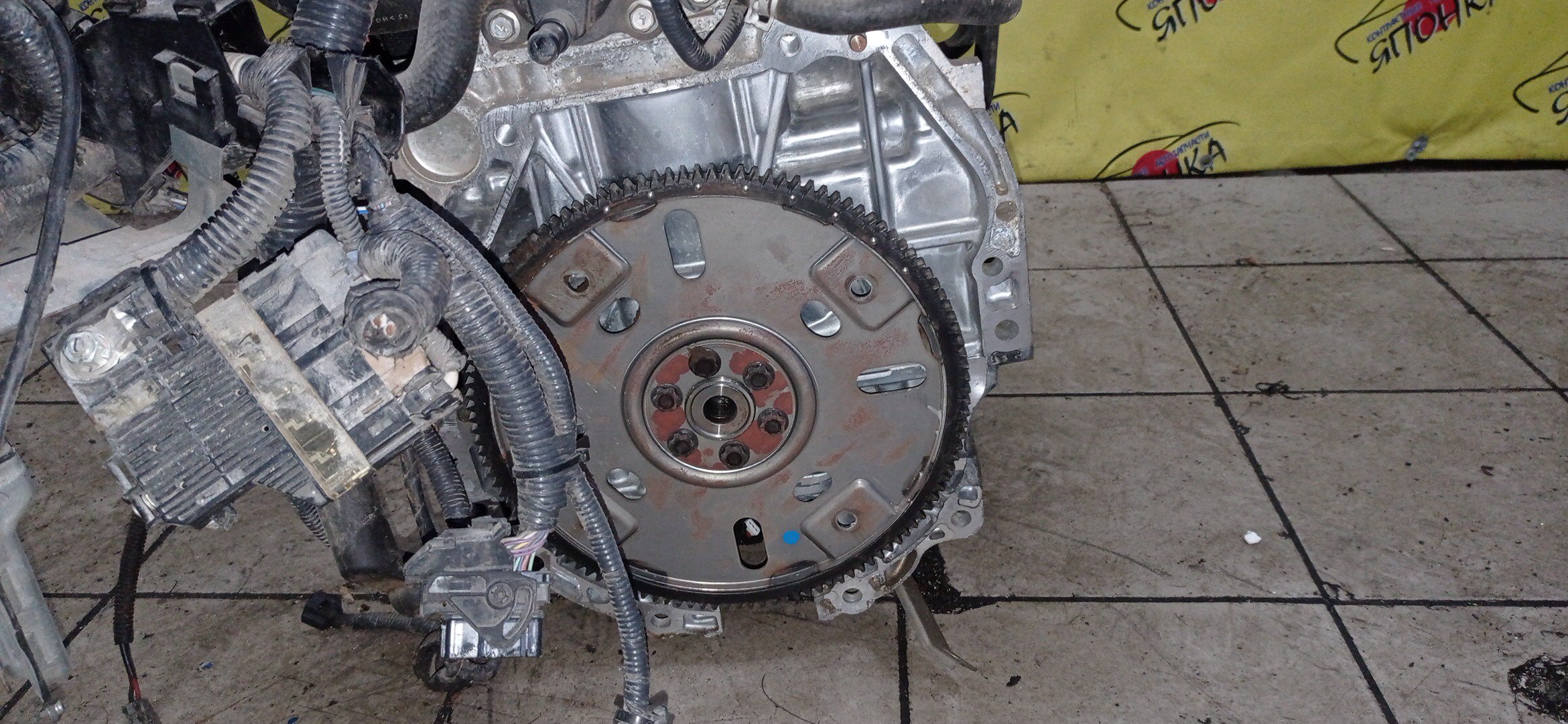 ДВС/NIS/QR25DE/ELGRAND/MURANO/TEANA/X-TRAIL/TE52/TNE52/TNJ32/TNT31/TNZ51/TZ51/2WD/4WD/221005V100/10102JC20B/10102JC2RB/101021JB0D/10102JG3AC