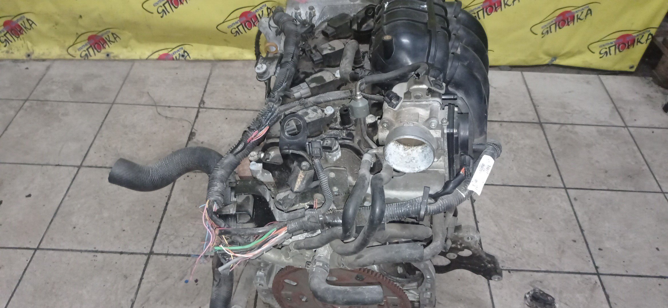 ДВС/NIS/QR25DE/ELGRAND/MURANO/TEANA/X-TRAIL/TE52/TNE52/TNJ32/TNT31/TNZ51/TZ51/2WD/4WD/10102JC20B/10102JC2RB/101021JB0D/10102JG3AC