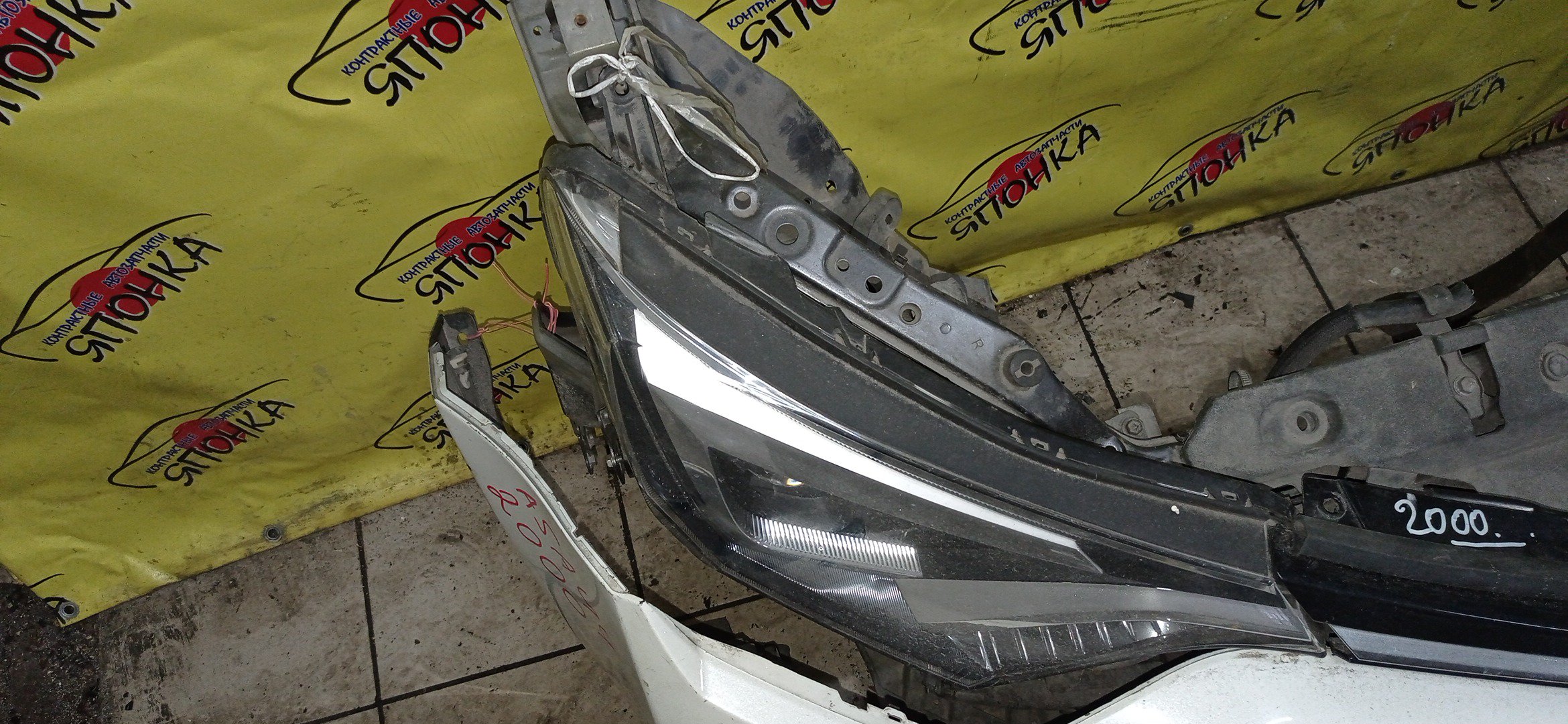 NOSECUT/TOY/RAV4/ALA49L/ASA42/ASA44/ASA44L/XA40/ZSA42L/ZSA44L/ПОД ПАРКТРОНИКИ/LED ЛИНЗЫ/2 МОДЕЛЬ