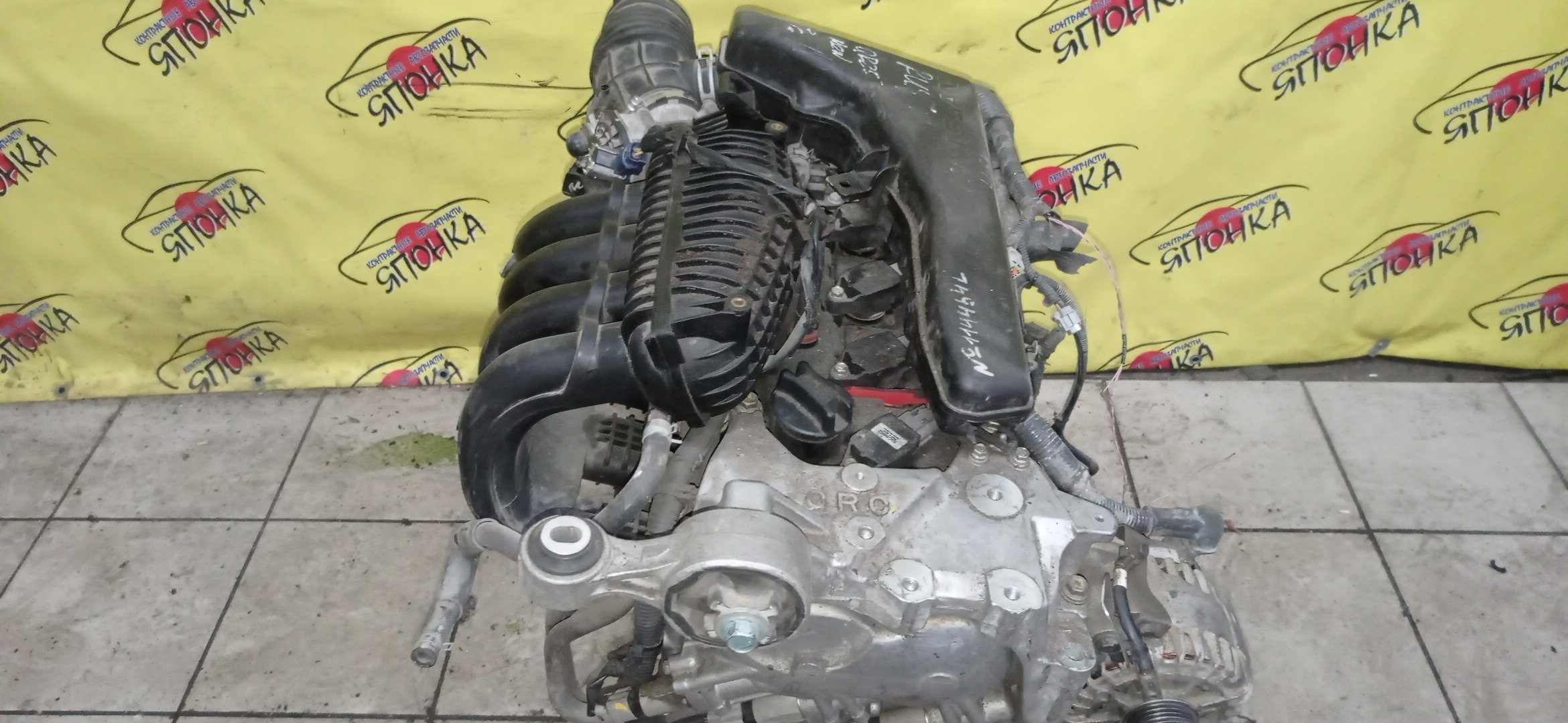 ДВС/NIS/QR25DE/ELGRAND/MURANO/TEANA/X-TRAIL/TE52/TNE52/TNJ32/TNT31/TNZ51/TZ51/2WD/4WD/221005V100/10102JC20B/10102JC2RB/101021JB0D/10102JG3AC