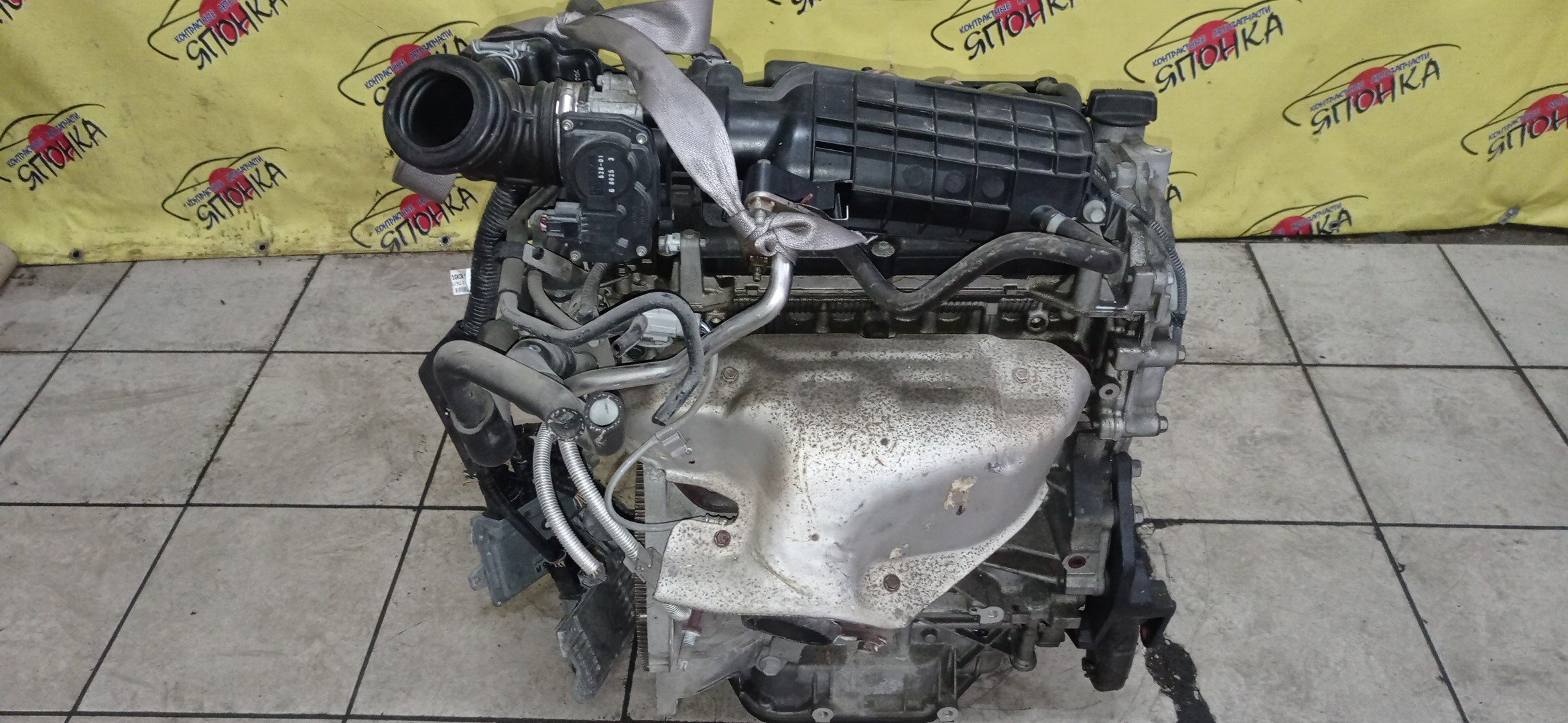 ДВС/NIS/MR20DE/SUZUKI/BLUEBIRD SYLPHY/DUALIS/LAFESTA/LANDY/QASHQAI2/SERENA/X-TRAIL/B30/C25/CC25/J10/J10E/JJ10E/KG11/KJ10/SC25/T31/2WD/10102EW0A0/10102EN0AB/10102EN0RB/10102EN1R0/101021GKAA