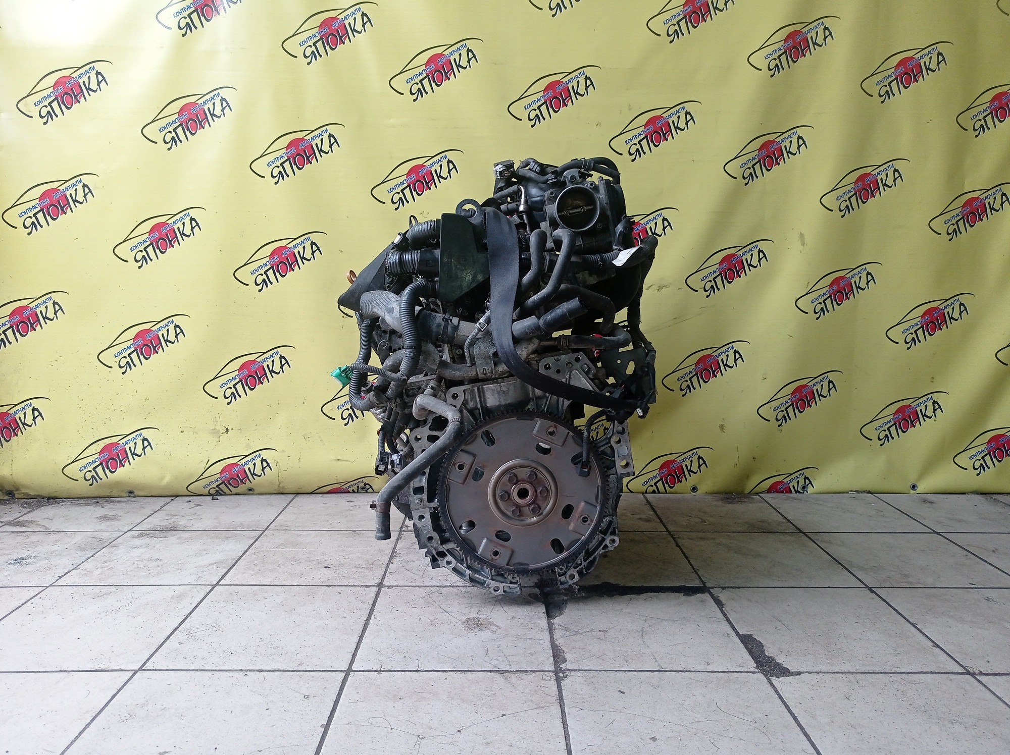 ДВС/NIS/QR25DE/ELGRAND/MURANO/TEANA/X-TRAIL/TE52/TNE52/TNJ32/TNT31/TNZ51/TZ51/2WD/4WD/10102JC20B/10102JC2RB/101021JB0D/10102JG3AC
