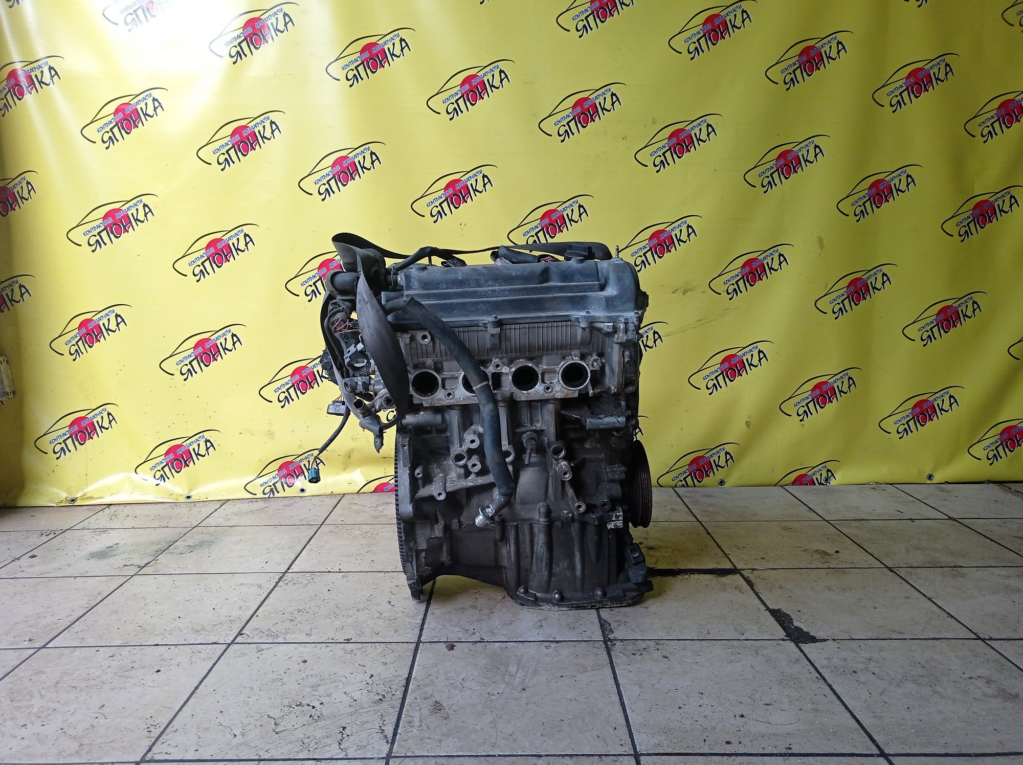 ДВС/TOY/1NZ-FE/COROLLA/VITZ/PREMIO/ALLION/IST/FIELDER/AXIO/PORTE/RACTIS/RUMION/NCP131/NCP100/NCP120/NCP105/NCP110/NCP115/NZE141G/NZE144/NZE144G/NZT260/NZE151N/NCP125/NZE141/NNP11/NNP15/NCP91/ЭЛЕКТРО ДРОСЕЛЬ/1 МОДЕЛЬ/1900021C41/1900021851