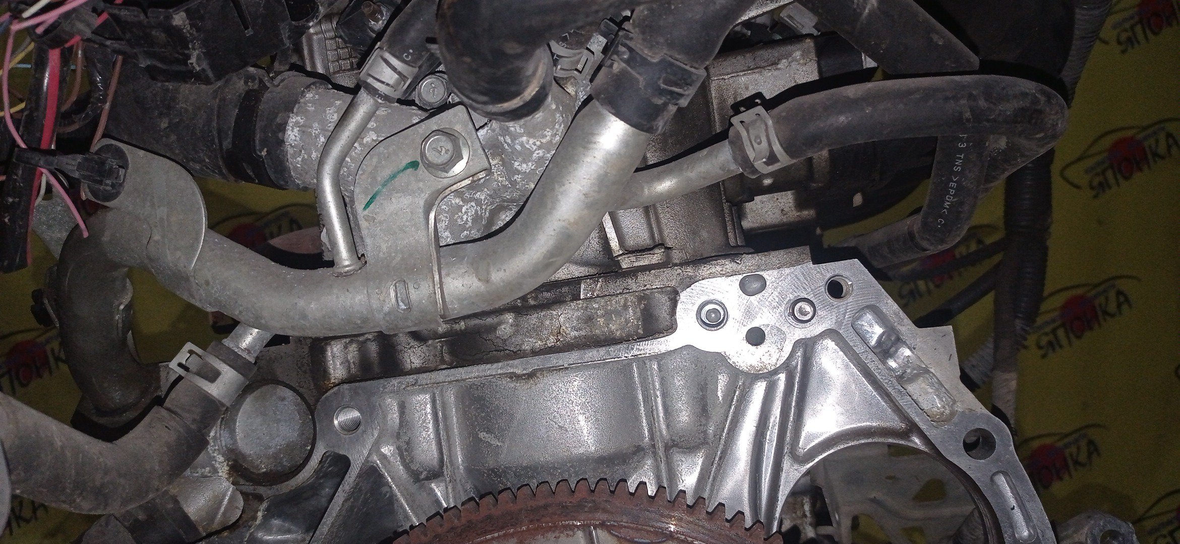 ДВС/NIS/QR25DE/ELGRAND/MURANO/TEANA/X-TRAIL/TE52/TNE52/TNJ32/TNT31/TNZ51/TZ51/2WD/4WD/10102JC20B/10102JC2RB/101021JB0D/10102JG3AC