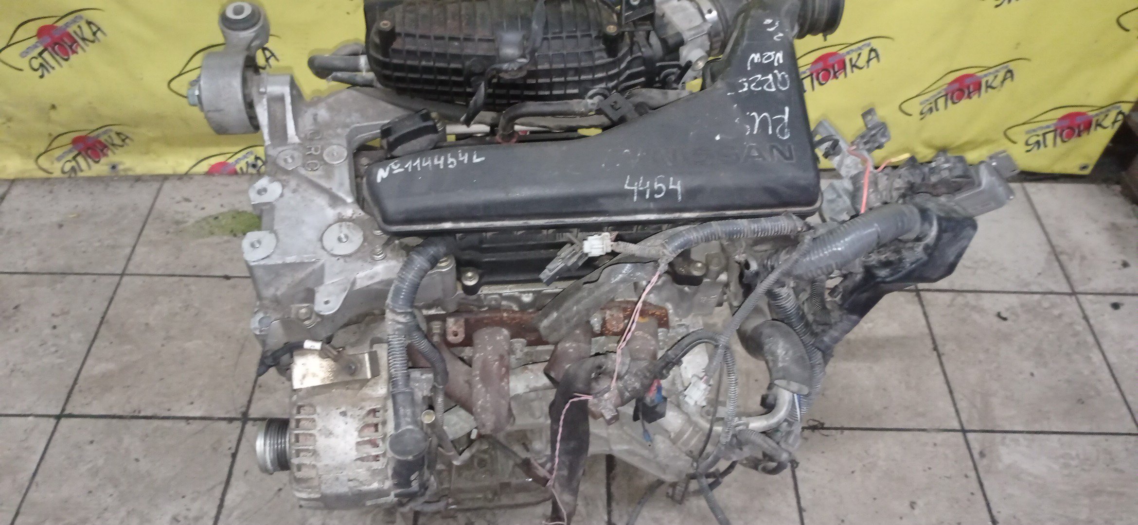 ДВС/NIS/QR25DE/ELGRAND/MURANO/TEANA/X-TRAIL/TE52/TNE52/TNJ32/TNT31/TNZ51/TZ51/2WD/4WD/221005V100/10102JC20B/10102JC2RB/101021JB0D/10102JG3AC