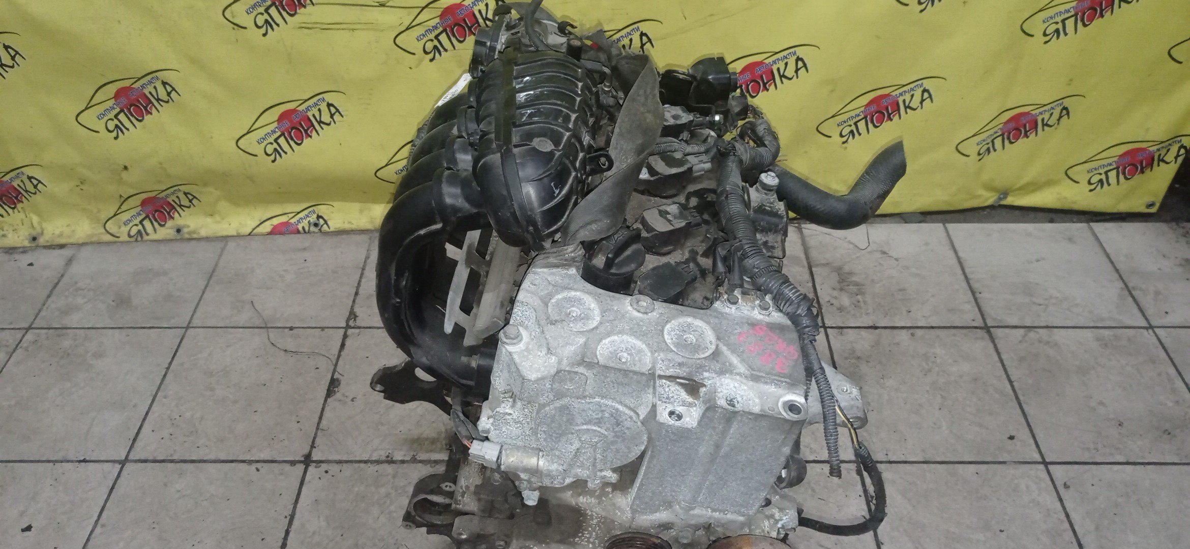 ДВС/NIS/QR25DE/ELGRAND/MURANO/TEANA/X-TRAIL/TE52/TNE52/TNJ32/TNT31/TNZ51/TZ51/2WD/4WD/10102JC20B/10102JC2RB/101021JB0D/10102JG3AC