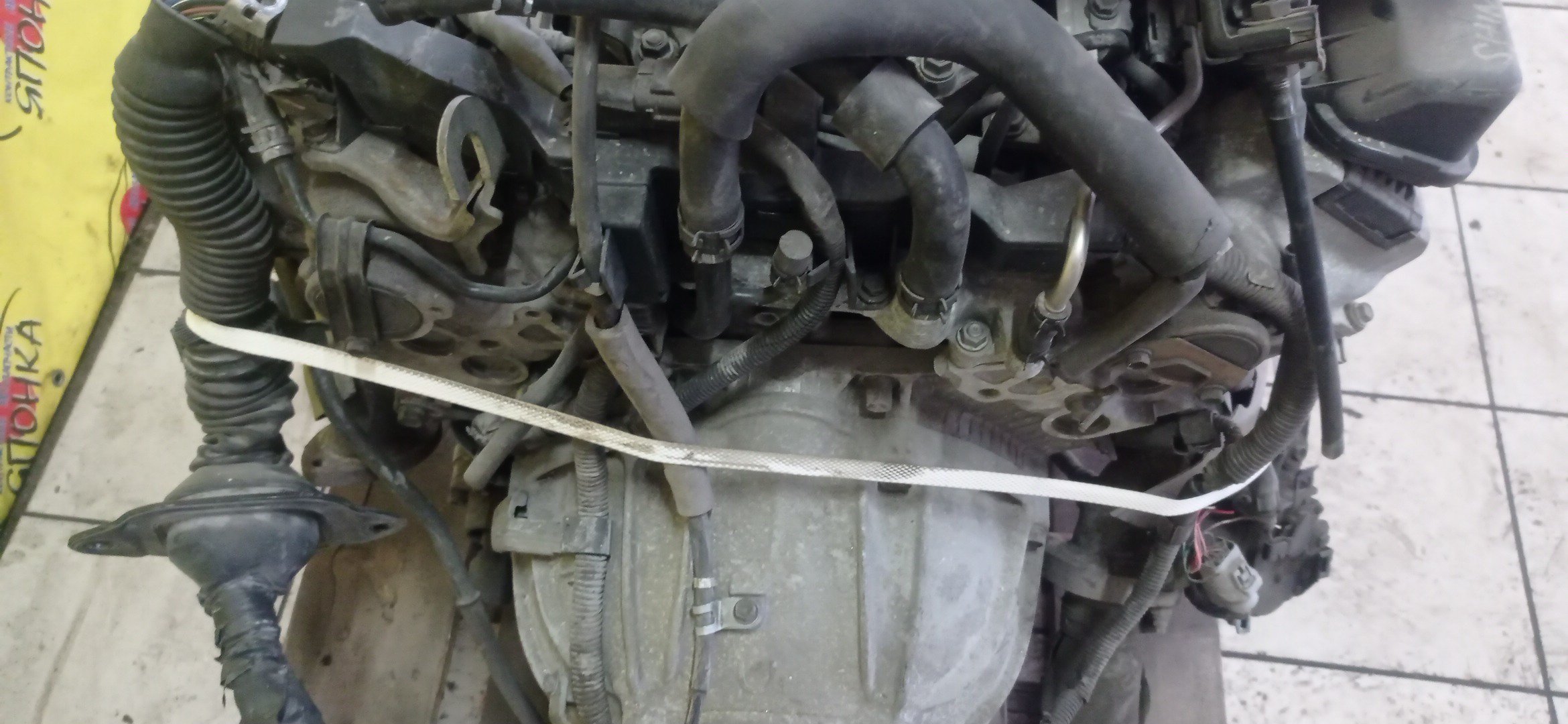 ДВС/TOY/1UZ-FE/LEXUS/CELSIOR/CROWN MAJESTA/LS400/SOARER/UCF10/UCF11/UCF20/UCF21/UZS141/UZS147/UZS151/UZS157/UZZ32/НЕ VVTI/4WD/1900050150/1900050151