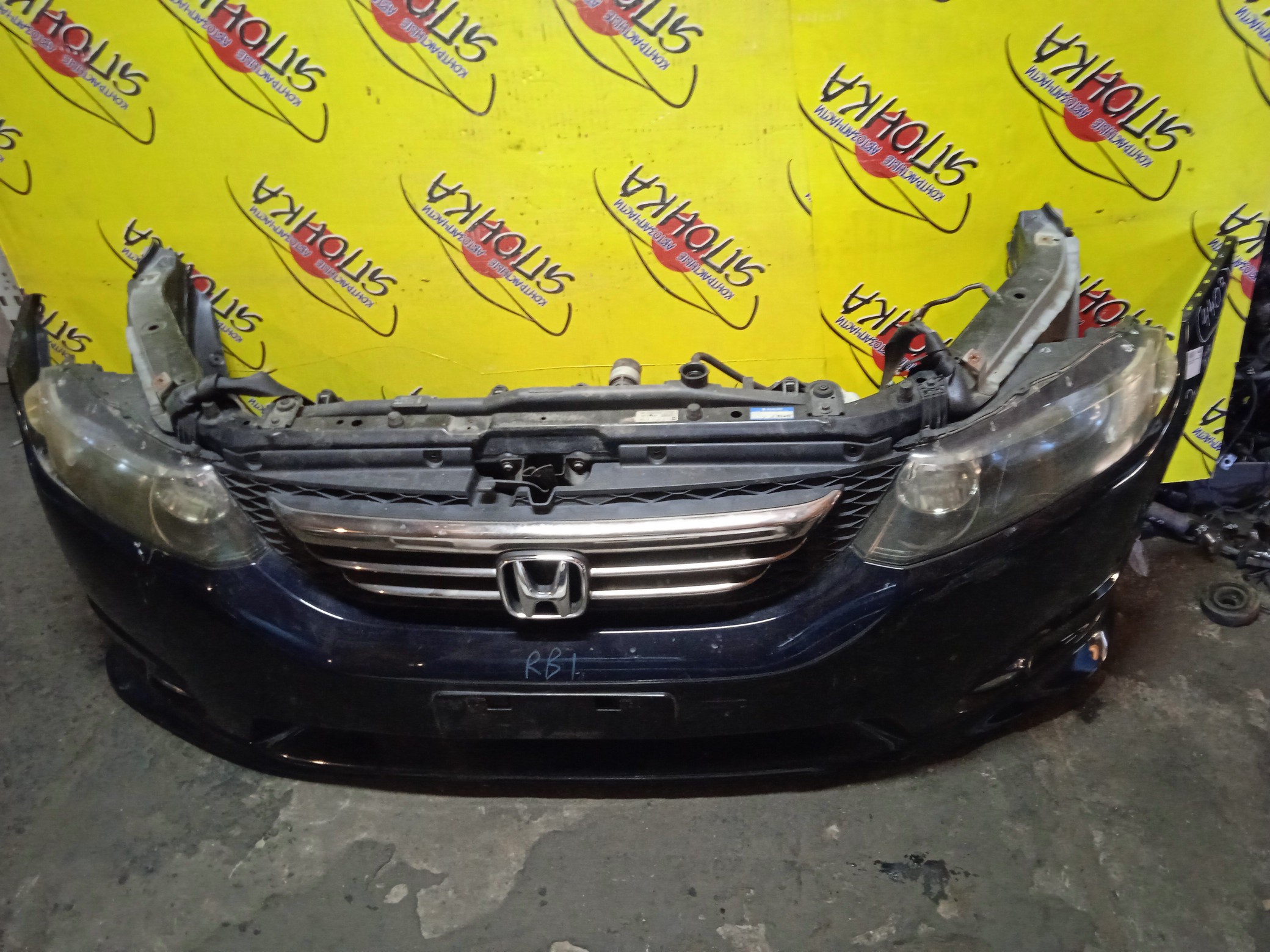 NOSECUT/HON/ODYSSEY/RB1/RB2/XENON/ГУБА/2 МОДЕЛЬ/60400SFE300ZZ/71130SFEJ10ZZ