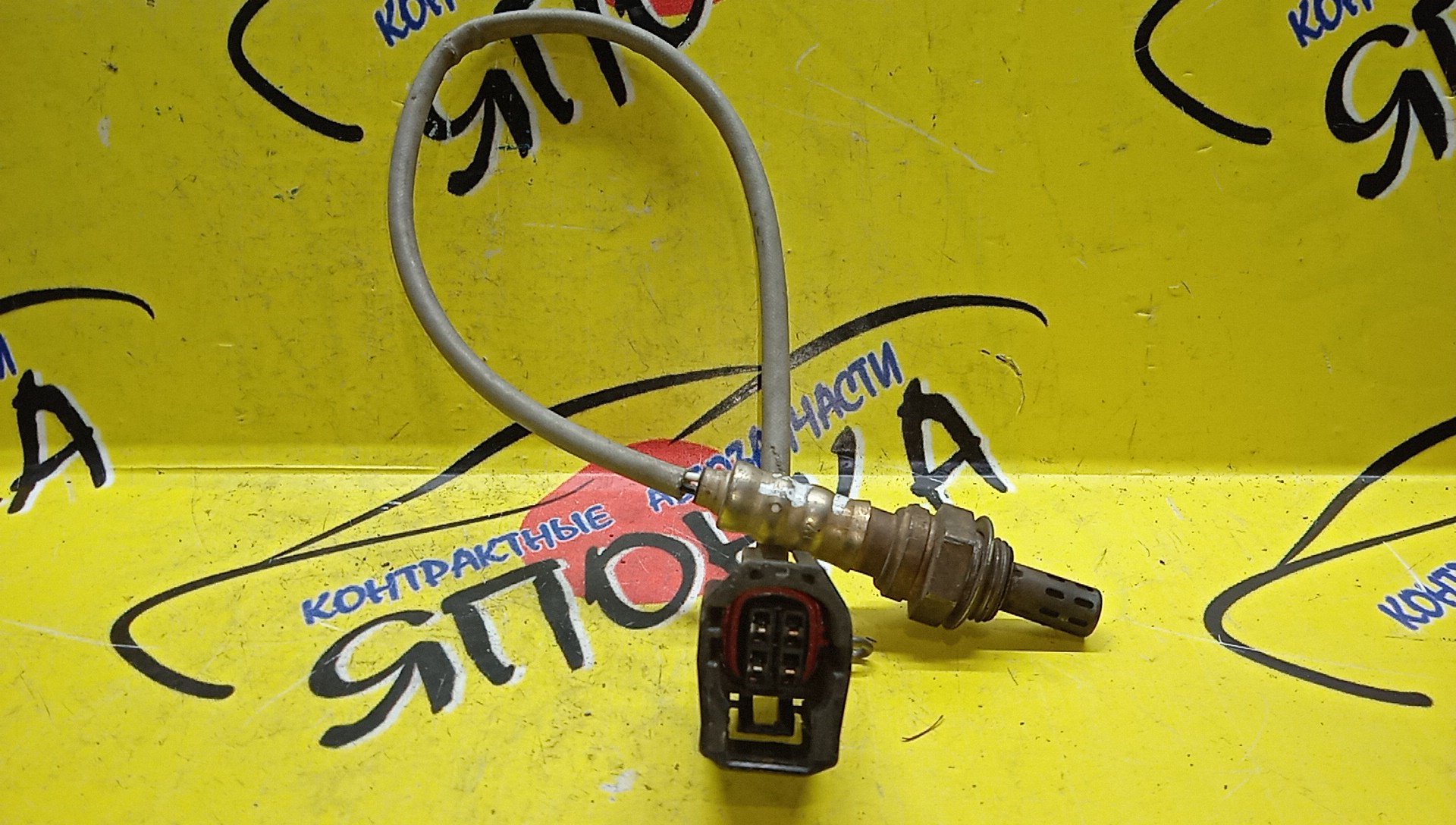 ЛЯМБДА-ЗОНД/MAZ/LF/LF66495F17