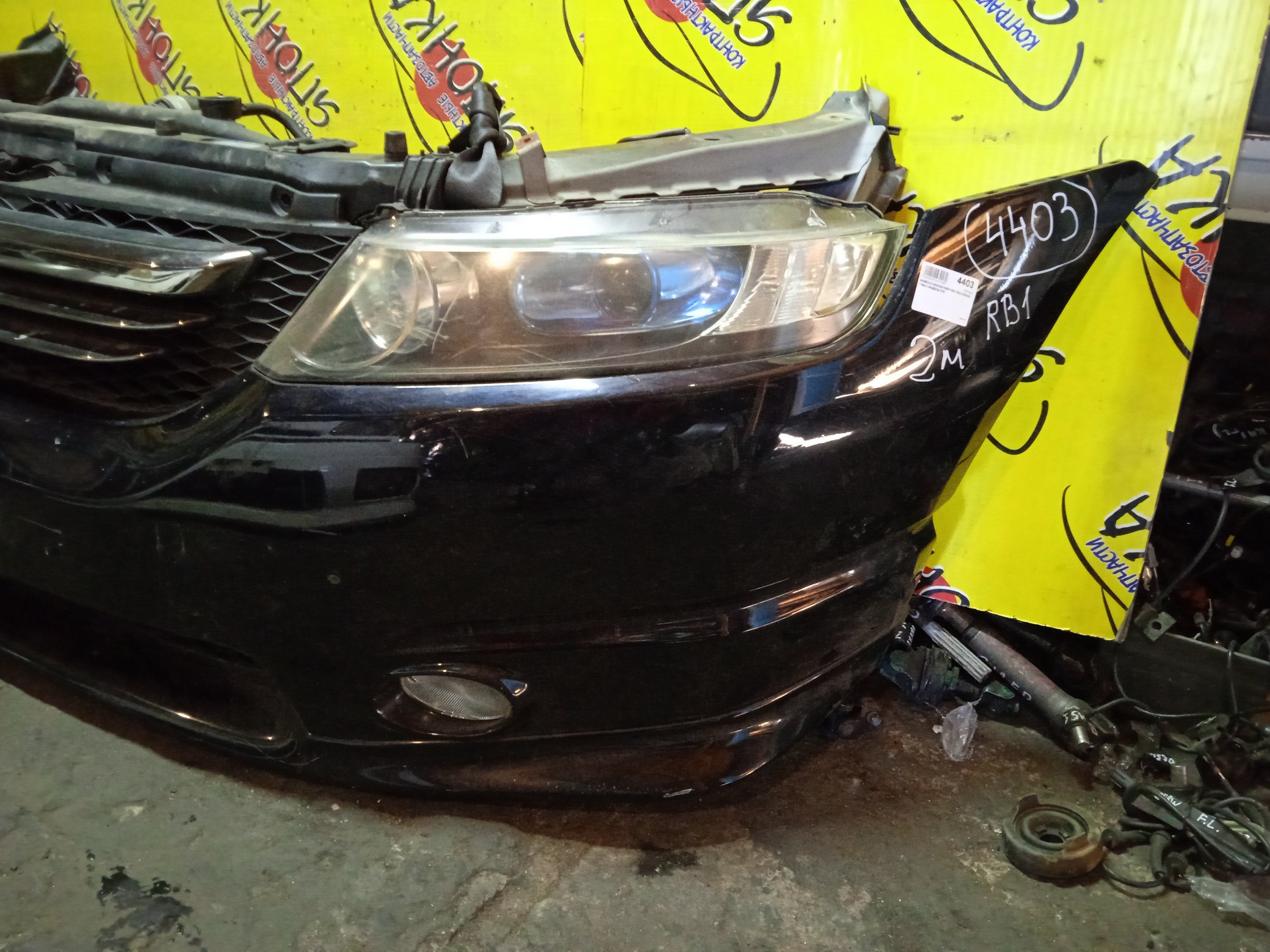 NOSECUT/HON/ODYSSEY/RB1/RB2/XENON/ГУБА/2 МОДЕЛЬ/60400SFE300ZZ/71130SFEJ10ZZ