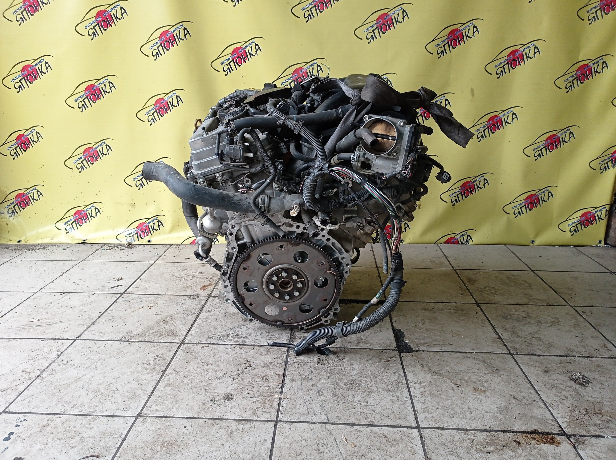 ДВС/TOY/2GR-FE/LEXUS/ALPHARD/AVALON/BLADE/CAMRY/ESTIMA/HARRIER/HIGHLANDER/MARK X ZIO/RX350/SIENNA/VELLFIRE/VENZA/GGA10/GGH20W/GGH25W/GGH30W/GGH35W/GGV10/GGV15/GRE156H/GSL20/GSL25/GSL30/GSL35/GSR50W/GSR55W/GSU30/GSU30W/GSU31W/GSU35/GSU35W/GSU36W/GSU40/GSU45/GSU50/GSU55/GSV40/GSV50/GSX30/GSX40/1900031D90/1900031D10/1900031A00