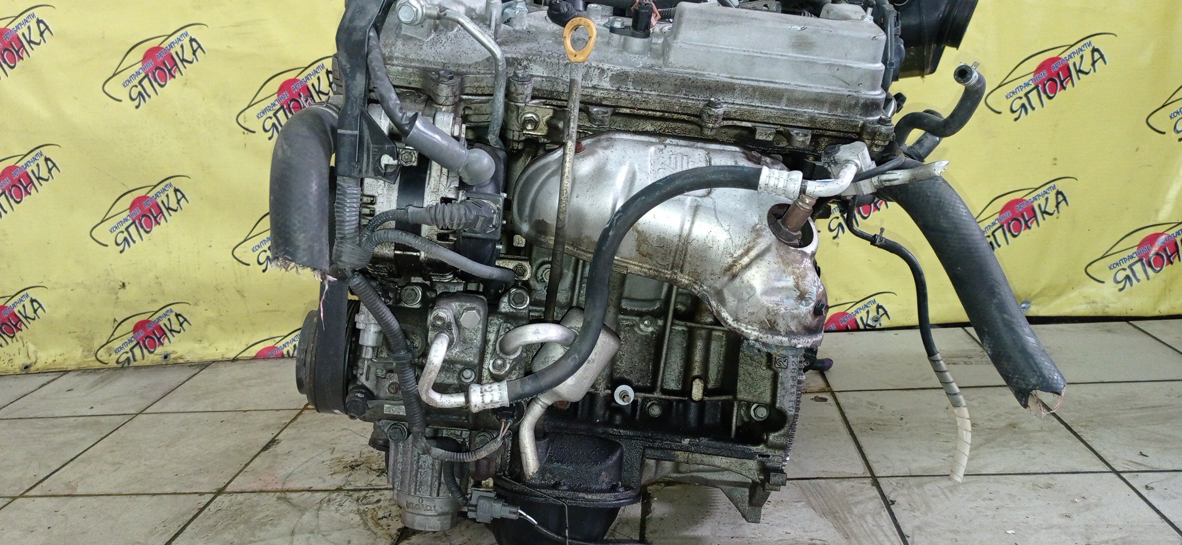 ДВС/TOY/2GR-FE/LEXUS/ALPHARD/AVALON/BLADE/CAMRY/ESTIMA/HARRIER/HIGHLANDER/MARK X ZIO/RX350/SIENNA/VELLFIRE/VENZA/GGA10/GGH20W/GGH25W/GGH30W/GGH35W/GGV10/GGV15/GRE156H/GSL20/GSL25/GSL30/GSL35/GSR50W/GSR55W/GSU30/GSU30W/GSU31W/GSU35/GSU35W/GSU36W/GSU40/GSU45/GSU50/GSU55/GSV40/GSV50/GSX30/GSX40/1900031D90/1900031D10/1900031A00