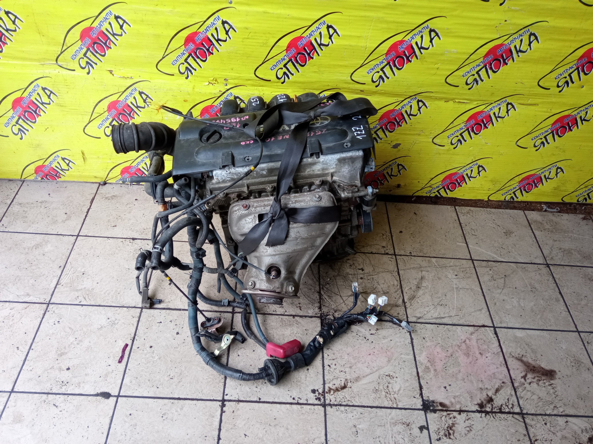 ДВС/TOY/1ZZ/COROLLA/CELICA/CALDINA/RAV4/VISTA/AVENSIS/WILL VS/SPACIO/WISH/OPA/PREMIO/ALLION/COROLLA VERSO/ALLEX/FIELDER/ISIS/RUNX/VISTA ARDEO/MR-S/VOLTZ/ZCA25W/ZCA26W/ZCT10/ZCT15/ZNE10G/ZNE14G/ZNM10G/ZNM10W/ZNR11/ZZE122/ZZE122G/ZZE122N/ZZE124/ZZE124G/ZZE124N/ZZE127/ZZE129/ZZE136/ZZE138/ZZT221/ZZT230/ZZT240/ZZT241W/ZZT245/ZZT251/ZZV50/ZZV50G/ZZW30/МЕХАНИЧЕСКАЯ ЗАСЛОНКА/ВПУСК ПЛАСТИКОВЫЙ/1900022080/1900022081
