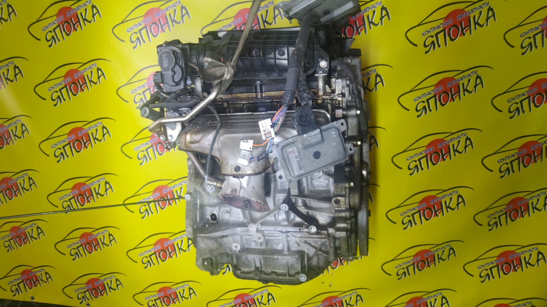 ДВС/NIS/MR20/SERENA/X-TRAIL/BLUEBIRD SYLPHY/LAFESTA/B30/CC25/C25/KG11/NC25/CNC25/T31/NB30/NT31/4WD
