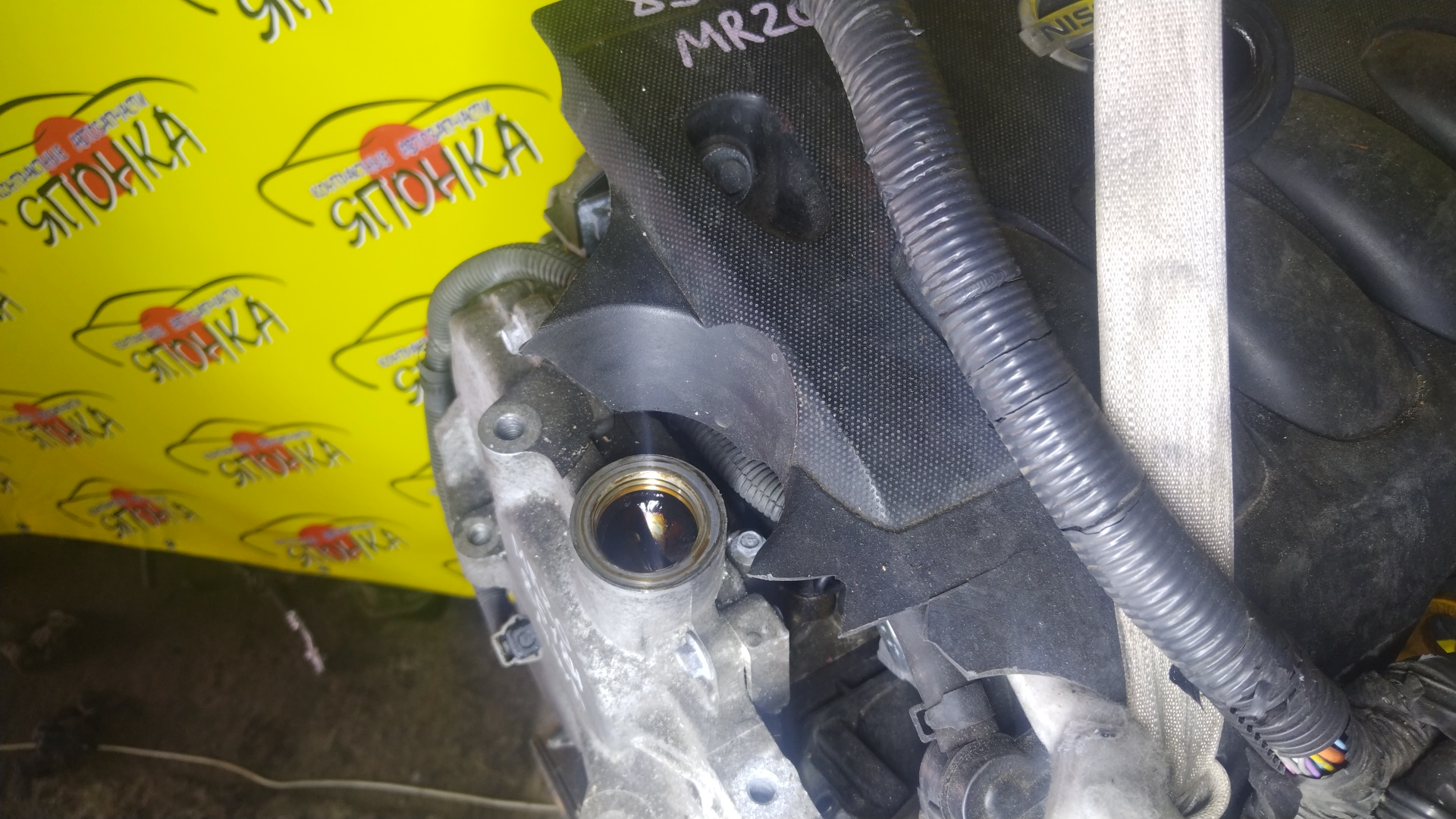 ДВС/NIS/MR20/SERENA/X-TRAIL/BLUEBIRD SYLPHY/LAFESTA/B30/CC25/C25/KG11/NC25/CNC25/T31/NB30/NT31/4WD