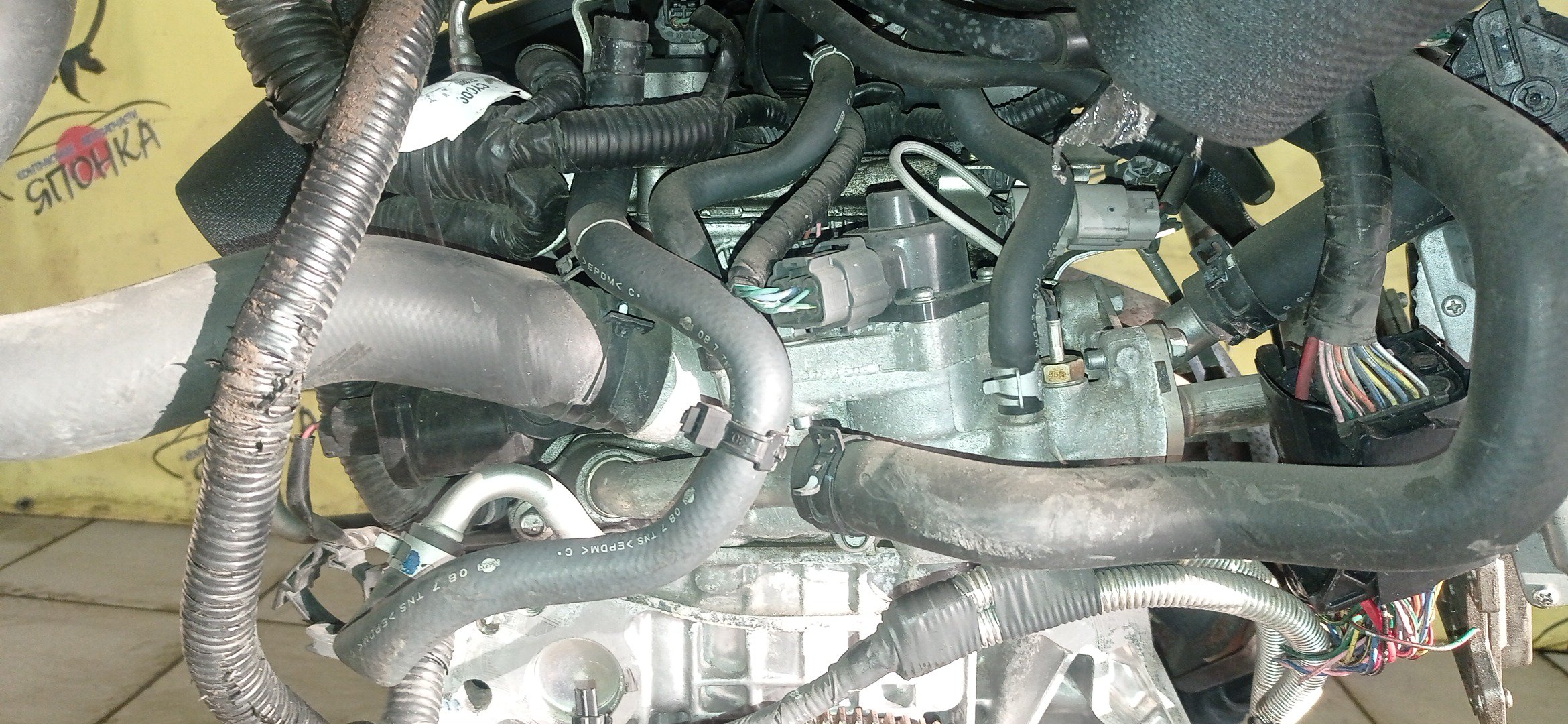 ДВС/NIS/MR20DE/SUZUKI/BLUEBIRD SYLPHY/DUALIS/LAFESTA/LANDY/QASHQAI2/SERENA/X-TRAIL/B30/C25/CC25/J10/J10E/JJ10E/KG11/KJ10/SC25/T31/NT31/2WD/10102EW0A0/10102EN0AB/10102EN0RB/10102EN1R0/101021GKAA