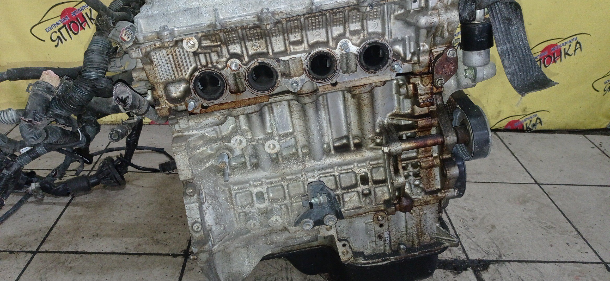 ДВС/TOY/1ZZ/COROLLA/CELICA/CALDINA/RAV4/VISTA/AVENSIS/WILL VS/SPACIO/WISH/OPA/PREMIO/ALLION/COROLLA VERSO/ALLEX/FIELDER/ISIS/RUNX/VISTA ARDEO/MR-S/VOLTZ/ZCA25W/ZCA26W/ZCT10/ZCT15/ZNE10G/ZNE14G/ZNM10G/ZNM10W/ZNR11/ZZE122/ZZE122G/ZZE122N/ZZE124/ZZE124G/ZZE124N/ZZE127/ZZE129/ZZE136/ZZE138/ZZT221/ZZT230/ZZT240/ZZT241W/ZZT245/ZZT251/ZZV50/ZZV50G/ZZW30/МЕХАНИЧЕСКАЯ ЗАСЛОНКА/ВПУСК ПЛАСТИКОВЫЙ/1900022080/1900022081