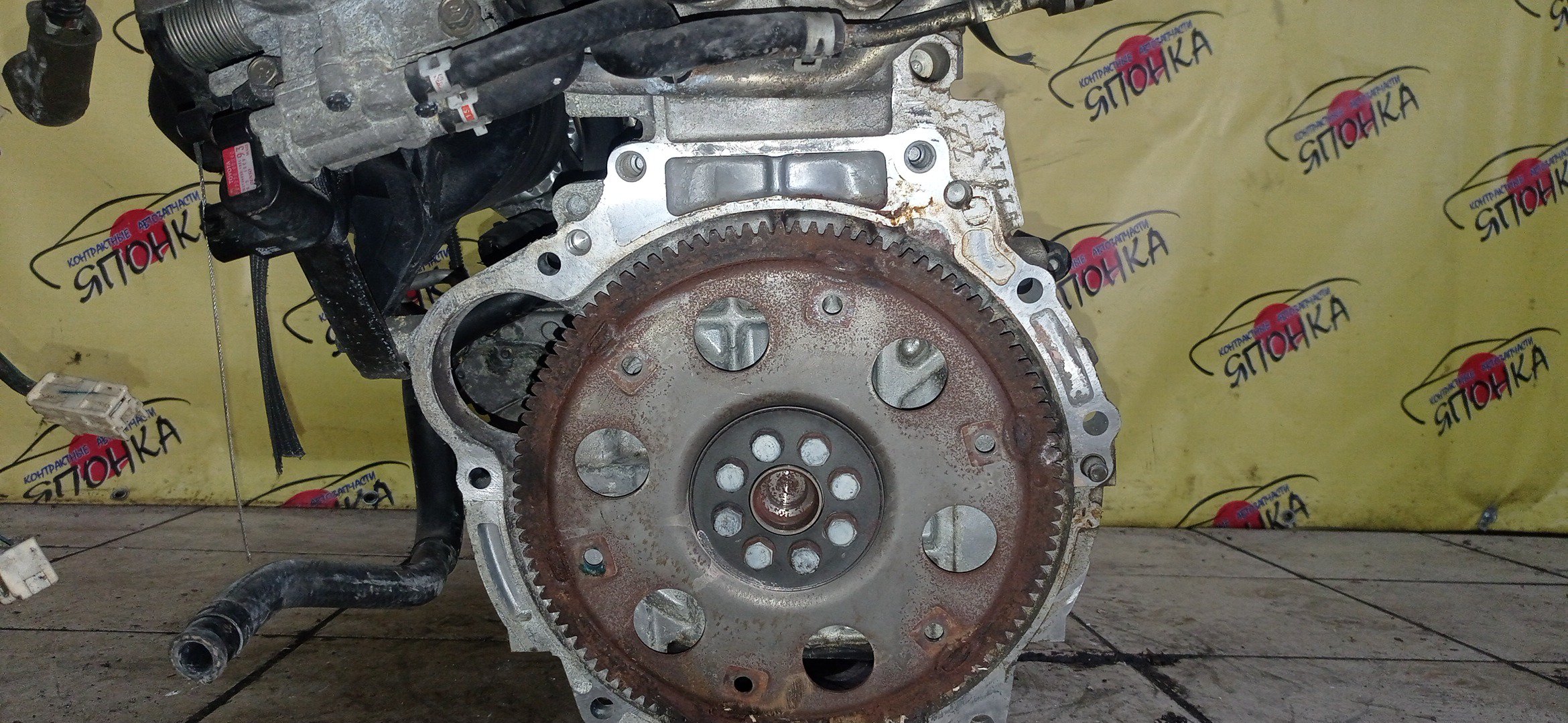 ДВС/TOY/1ZZ/COROLLA/CELICA/CALDINA/RAV4/VISTA/AVENSIS/WILL VS/SPACIO/WISH/OPA/PREMIO/ALLION/COROLLA VERSO/ALLEX/FIELDER/ISIS/RUNX/VISTA ARDEO/MR-S/VOLTZ/ZCA25W/ZCA26W/ZCT10/ZCT15/ZNE10G/ZNE14G/ZNM10G/ZNM10W/ZNR11/ZZE122/ZZE122G/ZZE122N/ZZE124/ZZE124G/ZZE124N/ZZE127/ZZE129/ZZE136/ZZE138/ZZT221/ZZT230/ZZT240/ZZT241W/ZZT245/ZZT251/ZZV50/ZZV50G/ZZW30/МЕХАНИЧЕСКАЯ ЗАСЛОНКА/ВПУСК ПЛАСТИКОВЫЙ/1900022080/1900022081