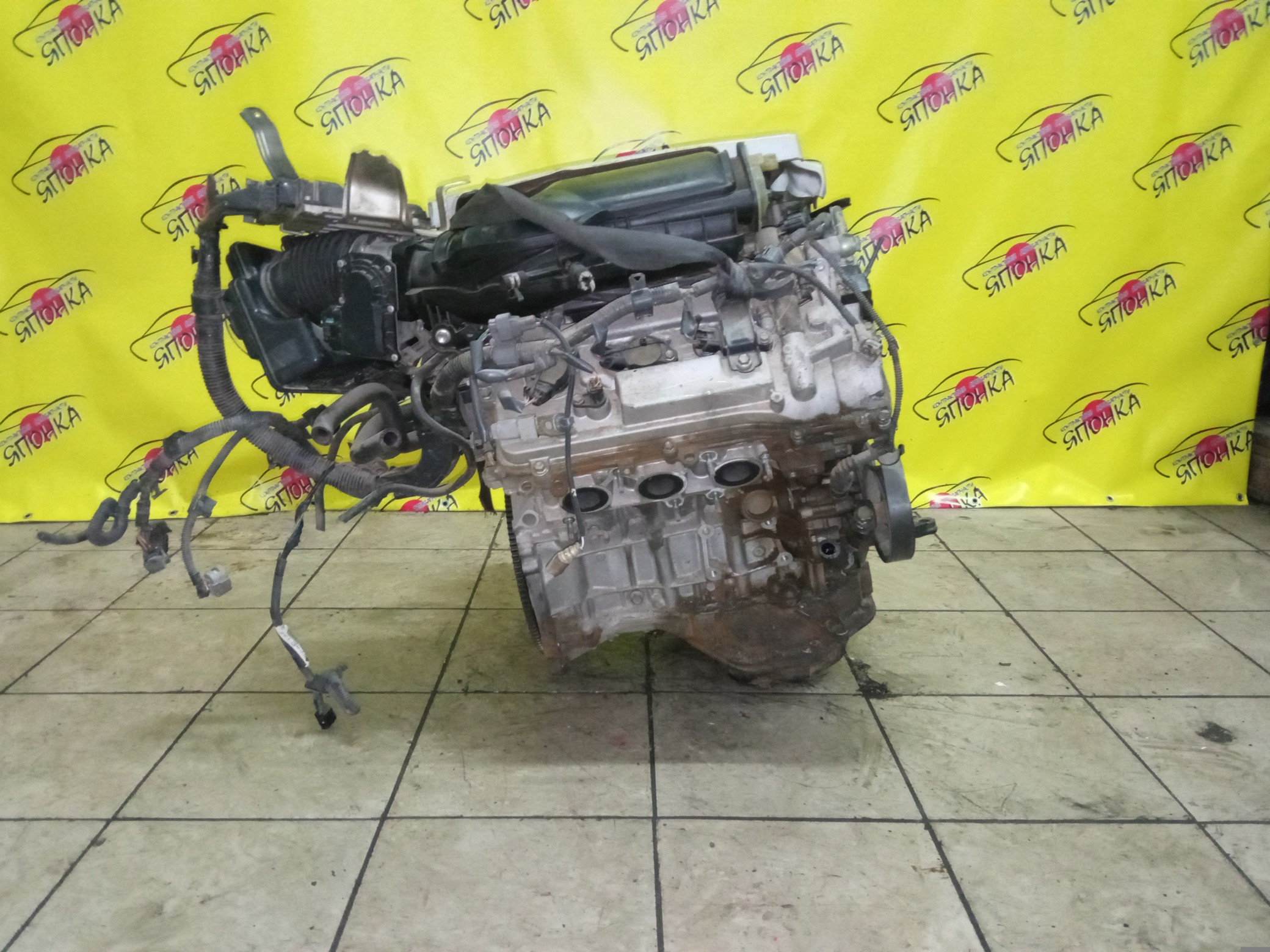 ДВС/TOY/2GR-FE/LEXUS/ALPHARD/AVALON/BLADE/CAMRY/ESTIMA/HARRIER/HIGHLANDER/MARK X ZIO/RX350/SIENNA/VELLFIRE/VENZA/GGA10/GGH20W/GGH25W/GGH30W/GGH35W/GGV10/GGV15/GRE156H/GSL20/GSL25/GSL30/GSL35/GSR50W/GSR55W/GSU30/GSU30W/GSU31W/GSU35/GSU35W/GSU36W/GSU40/GSU45/GSU50/GSU55/GSV40/GSV50/GSX30/GSX40/1900031D90/1900031D10/1900031A00