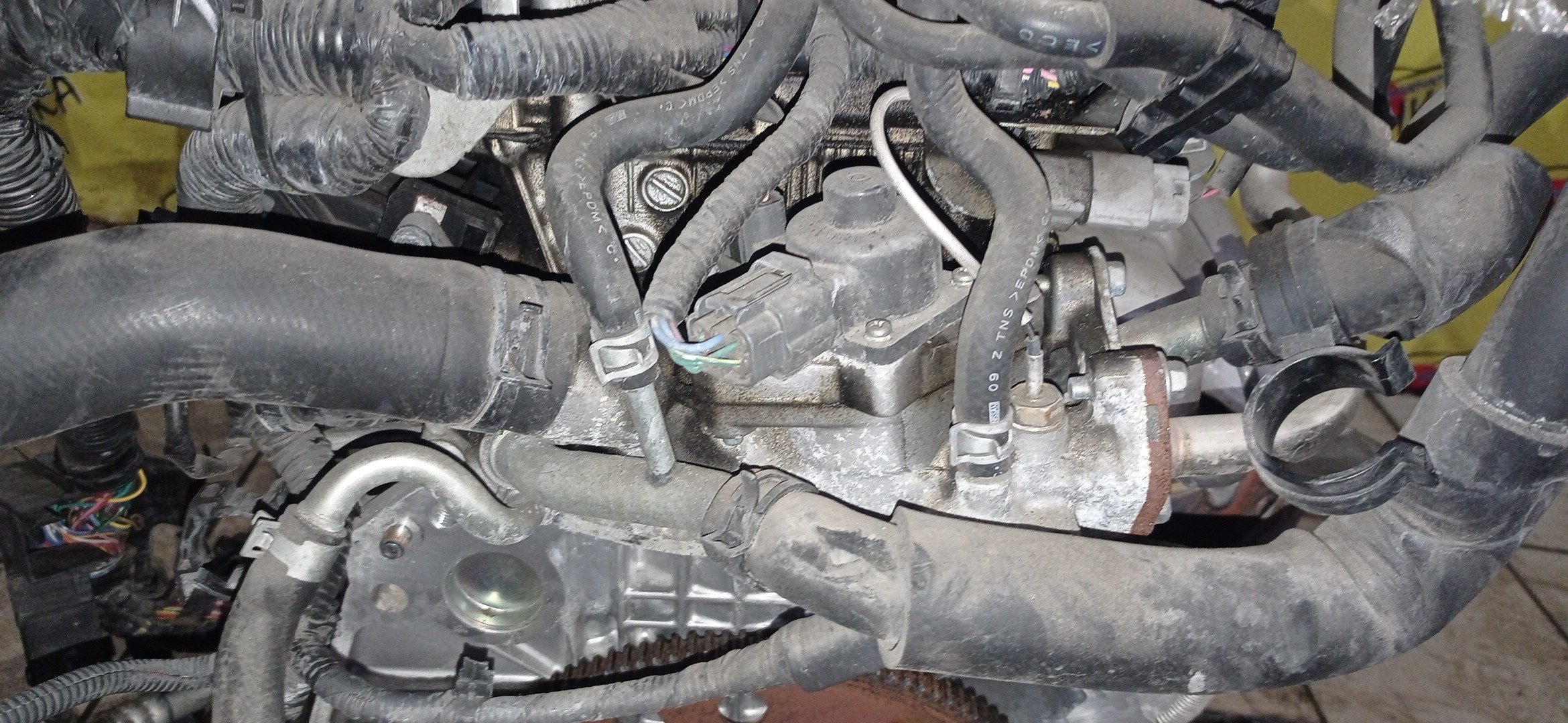 ДВС/NIS/MR20DE/SUZUKI/BLUEBIRD SYLPHY/DUALIS/LAFESTA/LANDY/QASHQAI2/SERENA/X-TRAIL/B30/C25/CC25/J10/J10E/JJ10E/KG11/KJ10/SC25/T31/NT31/2WD/10102EW0A0/10102EN0AB/10102EN0RB/10102EN1R0/101021GKAA