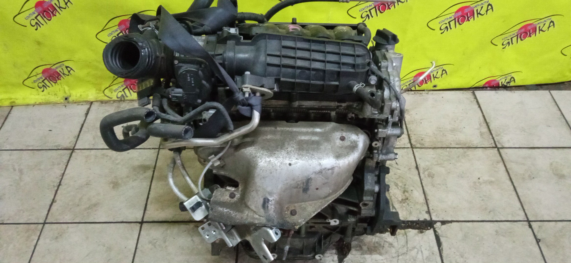 ДВС/NIS/MR20DE/SUZUKI/BLUEBIRD SYLPHY/DUALIS/LAFESTA/LANDY/QASHQAI2/SERENA/X-TRAIL/B30/C25/CC25/J10/J10E/JJ10E/KG11/KJ10/SC25/T31/NT31/2WD/10102EW0A0/10102EN0AB/10102EN0RB/10102EN1R0/101021GKAA