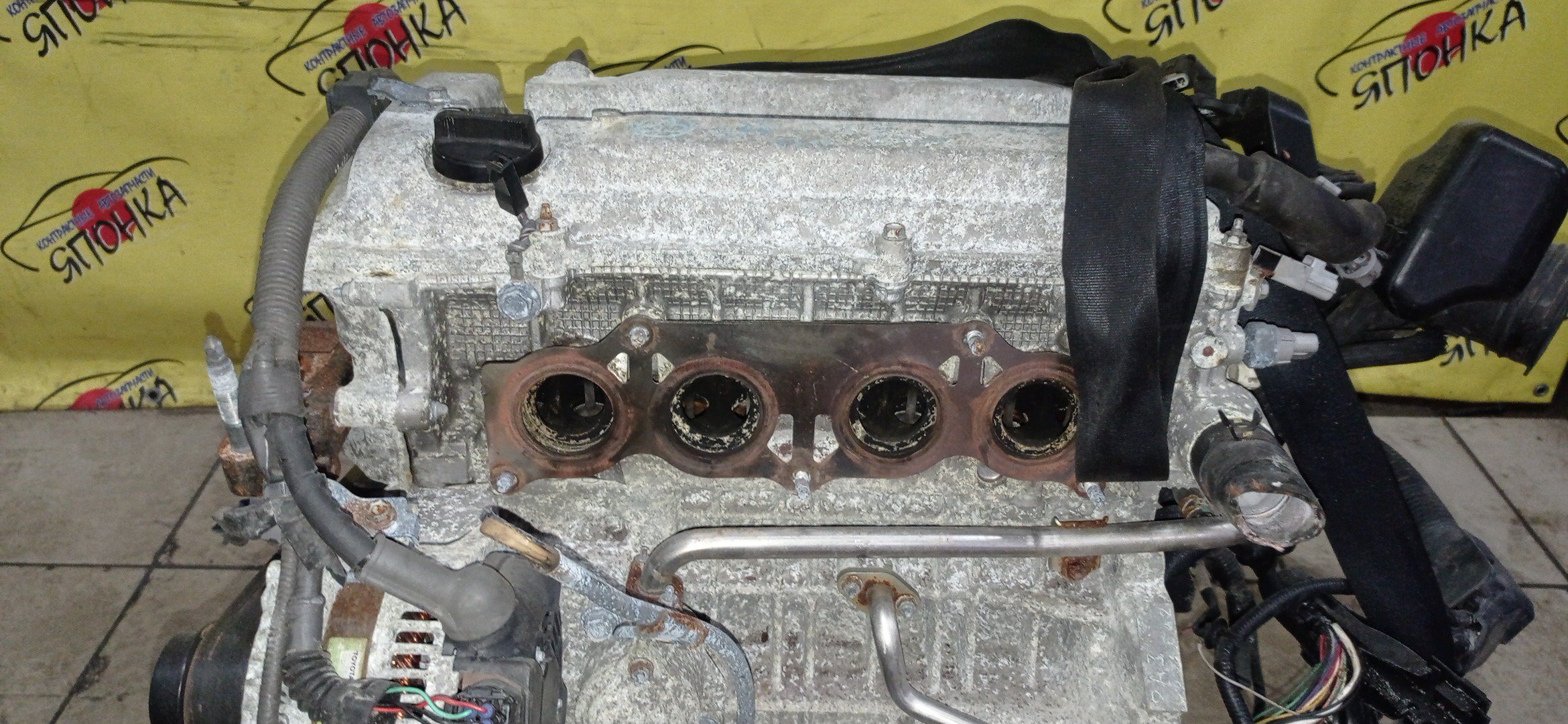 ДВС/TOY/2AZ-FE/DAIHATSU/ALPHARD/ALTIS/BLADE/CAMRY/ESTIMA/HARRIER/HIGHLANDER/KLUGER V/MARK X ZIO/RAV4/SOLARA/PREVIA/VELLFIRE/IPSUM/ACA20/ACA20W/ACA21/ACA21W/ACA23/ACA26/ACA28/ACA31W/ACA33/ACA36W/ACA38/ACR30W/ACR40W/ACR50W/ACR55W/ACU10W/ACU15W/ACU20/ACU20W/ACU25W/ACU30W/ACU35W/ACV30/ACV30N/ACV35/ACV35N/ACV45/ACV40N/ACV40/ACV45N/ANA10/ANA15/ANH10W/ANH15W/ANH20W/ANH25W/AZE154H/AZE156H/ACA31/ACM21W/ACM26W/ЭЛЕКТРО ДРОСЕЛЬ/1900028350/1900028120/1900028D10/190000H330