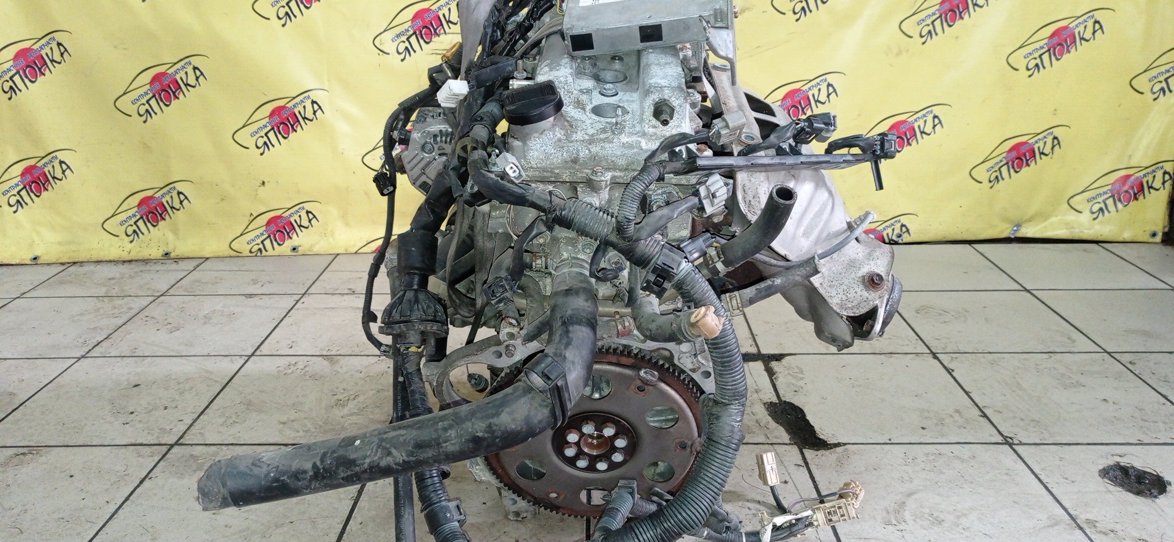 ДВС/TOY/1ZZ/COROLLA/CELICA/CALDINA/RAV4/VISTA/AVENSIS/WILL VS/SPACIO/WISH/OPA/PREMIO/ALLION/COROLLA VERSO/ALLEX/FIELDER/ISIS/RUNX/VISTA ARDEO/MR-S/VOLTZ/ZCA25W/ZCA26W/ZCT10/ZCT15/ZNE10G/ZNE14G/ZNM10G/ZNM10W/ZNR11/ZZE122/ZZE122G/ZZE122N/ZZE124/ZZE124G/ZZE124N/ZZE127/ZZE129/ZZE136/ZZE138/ZZT221/ZZT230/ZZT240/ZZT241W/ZZT245/ZZT251/ZZV50/ZZV50G/ZZW30/МЕХАНИЧЕСКАЯ ЗАСЛОНКА/ВПУСК ПЛАСТИКОВЫЙ/1900022080/1900022081