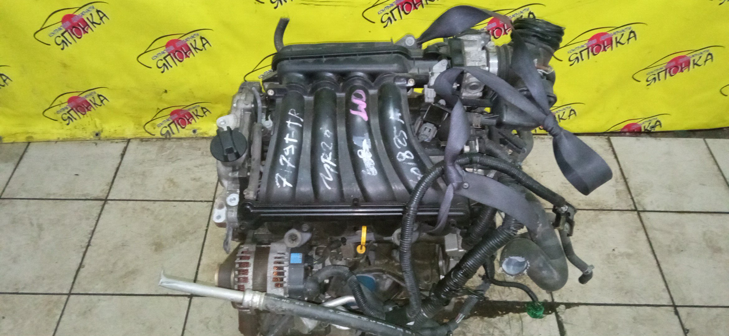 ДВС/NIS/MR20DE/SUZUKI/BLUEBIRD SYLPHY/DUALIS/LAFESTA/LANDY/QASHQAI2/SERENA/X-TRAIL/B30/C25/CC25/J10/J10E/JJ10E/KG11/KJ10/SC25/T31/NT31/2WD/10102EW0A0/10102EN0AB/10102EN0RB/10102EN1R0/101021GKAA