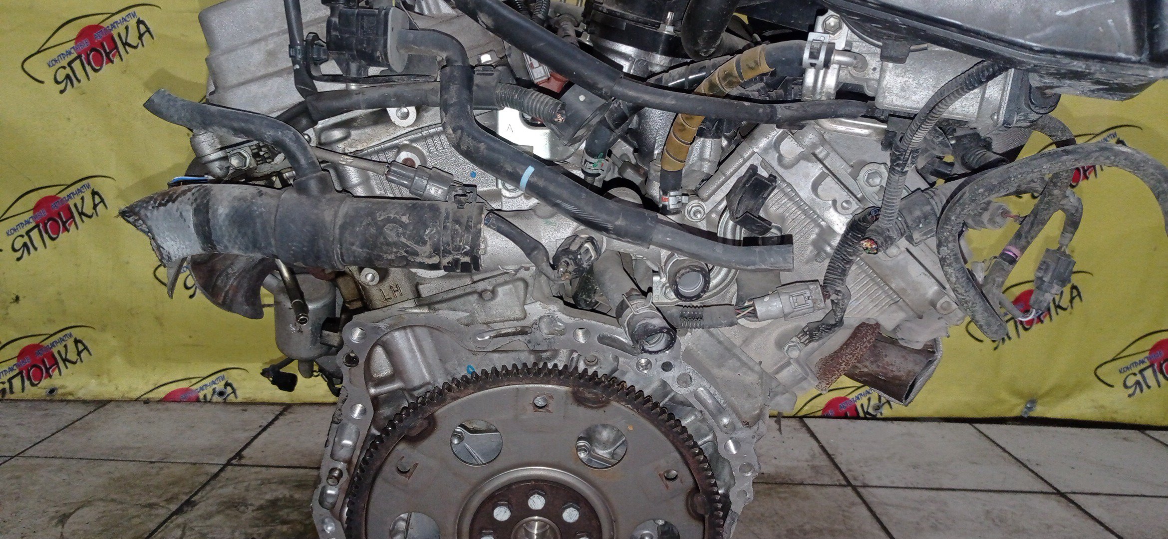 ДВС/TOY/2GR-FE/LEXUS/ALPHARD/AVALON/BLADE/CAMRY/ESTIMA/HARRIER/HIGHLANDER/MARK X ZIO/RX350/SIENNA/VELLFIRE/VENZA/GGA10/GGH20W/GGH25W/GGH30W/GGH35W/GGV10/GGV15/GRE156H/GSL20/GSL25/GSL30/GSL35/GSR50W/GSR55W/GSU30/GSU30W/GSU31W/GSU35/GSU35W/GSU36W/GSU40/GSU45/GSU50/GSU55/GSV40/GSV50/GSX30/GSX40/1900031D90/1900031D10/1900031A00