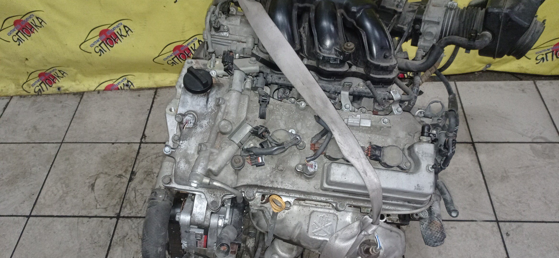 ДВС/TOY/2GR-FE/LEXUS/ALPHARD/AVALON/BLADE/CAMRY/ESTIMA/HARRIER/HIGHLANDER/MARK X ZIO/RX350/SIENNA/VELLFIRE/VENZA/GGA10/GGH20W/GGH25W/GGH30W/GGH35W/GGV10/GGV15/GRE156H/GSL20/GSL25/GSL30/GSL35/GSR50W/GSR55W/GSU30/GSU30W/GSU31W/GSU35/GSU35W/GSU36W/GSU40/GSU45/GSU50/GSU55/GSV40/GSV50/GSX30/GSX40/1900031D90/1900031D10/1900031A00