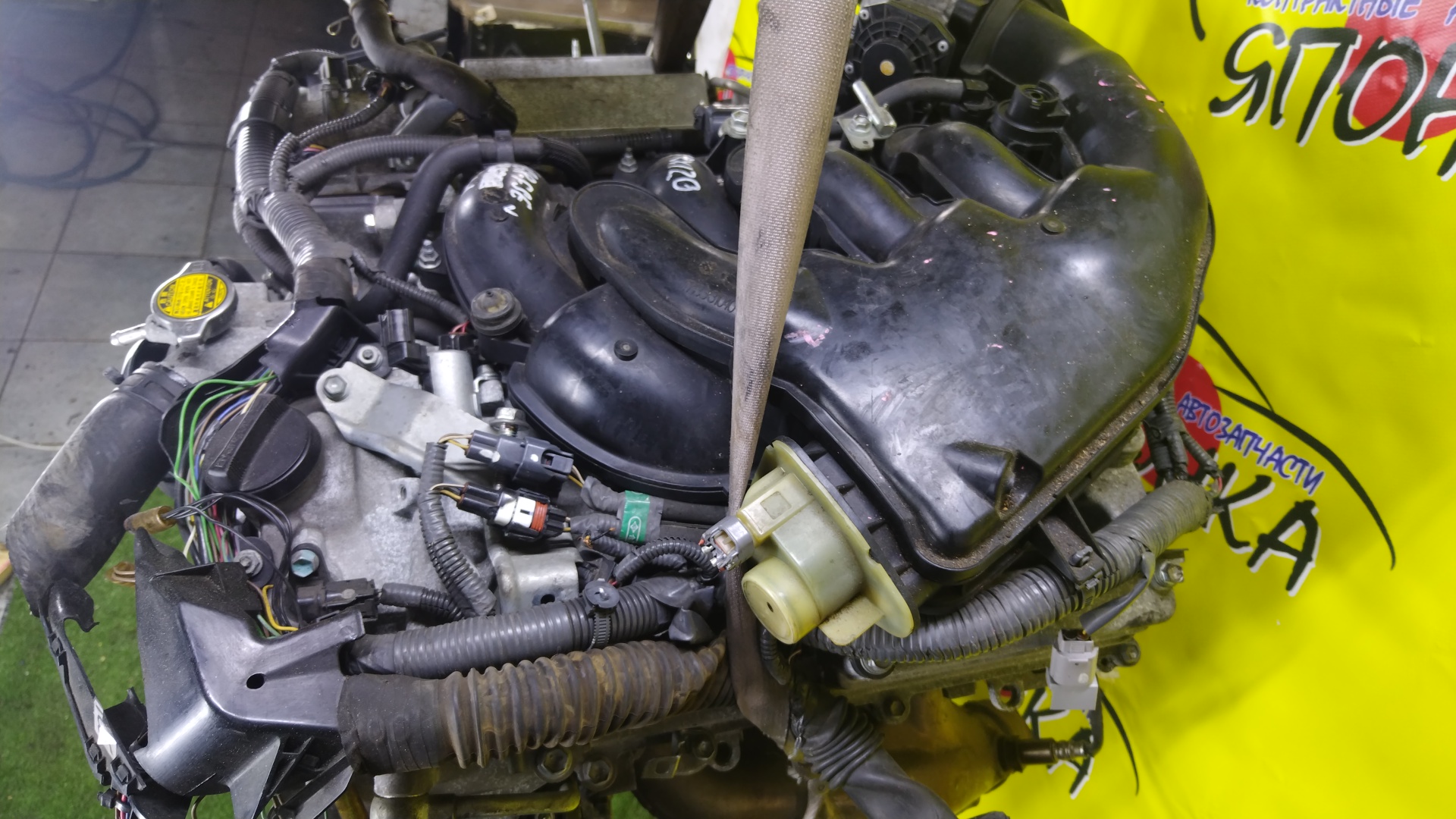 ДВС/TOY/4GRFSE/1900031371/1900031A92