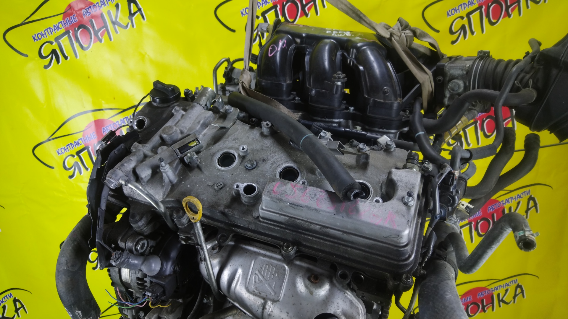 ДВС/TOY/2GR-FE/LEXUS/ALPHARD/AVALON/BLADE/CAMRY/ESTIMA/HARRIER/HIGHLANDER/MARK X ZIO/RX350/SIENNA/VELLFIRE/VENZA/GGA10/GGH20W/GGH25W/GGH30W/GGH35W/GGV10/GGV15/GRE156H/GSL20/GSL25/GSL30/GSL35/GSR50W/GSR55W/GSU30/GSU30W/GSU31W/GSU35/GSU35W/GSU36W/GSU40/GSU45/GSU50/GSU55/GSV40/GSV50/GSX30/GSX40/1900031D90/1900031D10/1900031A00