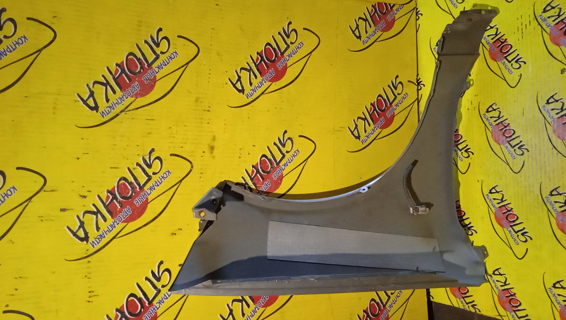 КРЫЛО/NIS/WINGROAD/VENY11/VEY11/VFY11/VGY11/VHNY11/VY11/WFNY11/WFY11/WHNY11/WHY11/WPY11/WRY11/F/L/2 МОДЕЛЬ/63101WE010/63101WE000