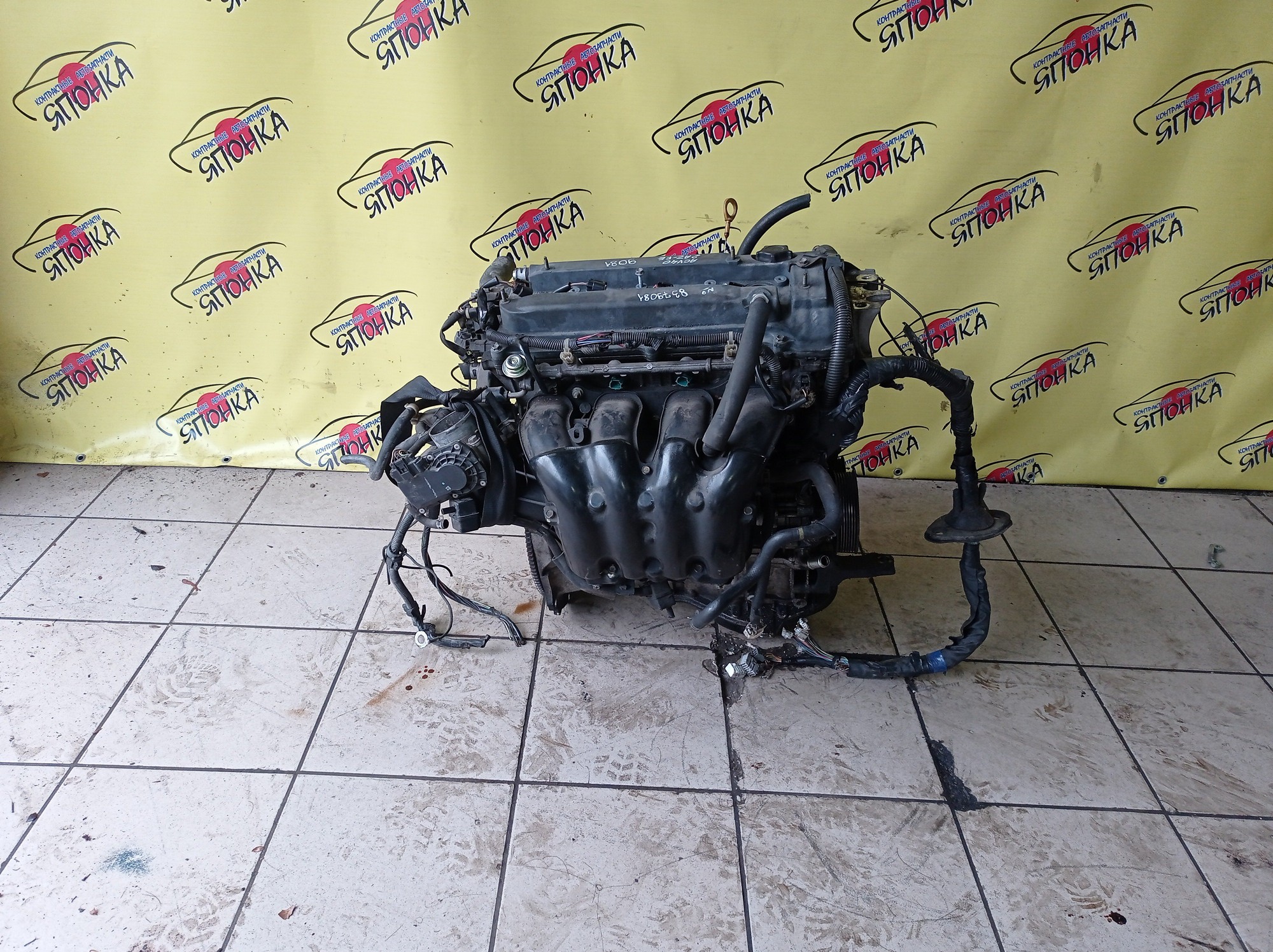 ДВС/TOY/2AZ-FE/DAIHATSU/ALPHARD/ALTIS/BLADE/CAMRY/ESTIMA/HARRIER/HIGHLANDER/KLUGER V/MARK X ZIO/RAV4/SOLARA/PREVIA/VELLFIRE/IPSUM/ACA20/ACA20W/ACA21/ACA21W/ACA23/ACA26/ACA28/ACA31W/ACA33/ACA36W/ACA38/ACR30W/ACR40W/ACR50W/ACR55W/ACU10W/ACU15W/ACU20/ACU20W/ACU25W/ACU30W/ACU35W/ACV30/ACV30N/ACV35/ACV35N/ACV45/ACV40N/ACV40/ACV45N/ANA10/ANA15/ANH10W/ANH15W/ANH20W/ANH25W/AZE154H/AZE156H/ACA31/ACM21W/ACM26W/ЭЛЕКТРО ДРОСЕЛЬ/1900028350/1900028120/1900028D10/190000H330