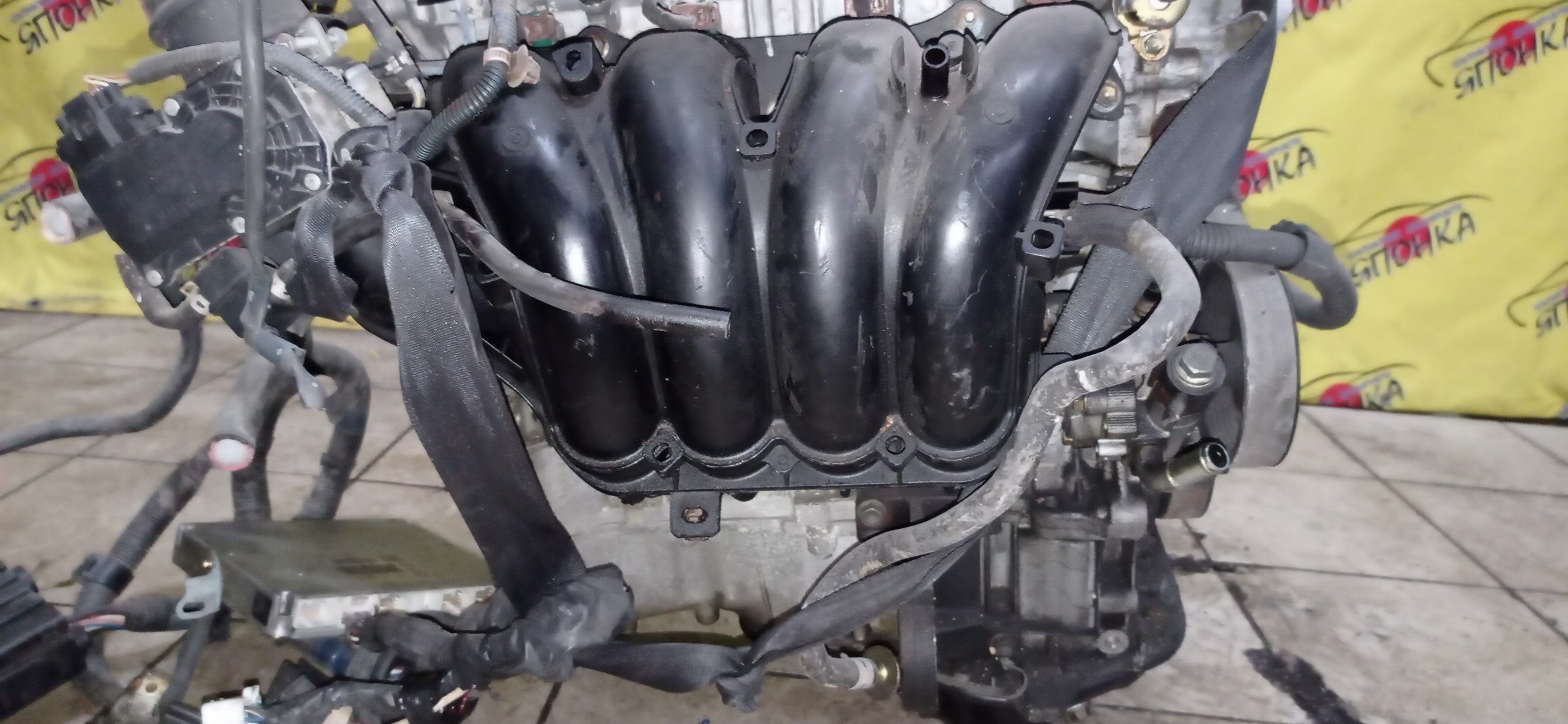 ДВС/TOY/2AZ-FE/DAIHATSU/ALPHARD/ALTIS/BLADE/CAMRY/ESTIMA/HARRIER/HIGHLANDER/KLUGER V/MARK X ZIO/RAV4/SOLARA/PREVIA/VELLFIRE/IPSUM/ACA20/ACA20W/ACA21/ACA21W/ACA23/ACA26/ACA28/ACA31W/ACA33/ACA36W/ACA38/ACR30W/ACR40W/ACR50W/ACR55W/ACU10W/ACU15W/ACU20/ACU20W/ACU25W/ACU30W/ACU35W/ACV30/ACV30N/ACV35/ACV35N/ACV45/ACV40N/ACV40/ACV45N/ANA10/ANA15/ANH10W/ANH15W/ANH20W/ANH25W/AZE154H/AZE156H/ACA31/ACM21W/ACM26W/ЭЛЕКТРО ДРОСЕЛЬ/1900028350/1900028120/1900028D10/190000H330